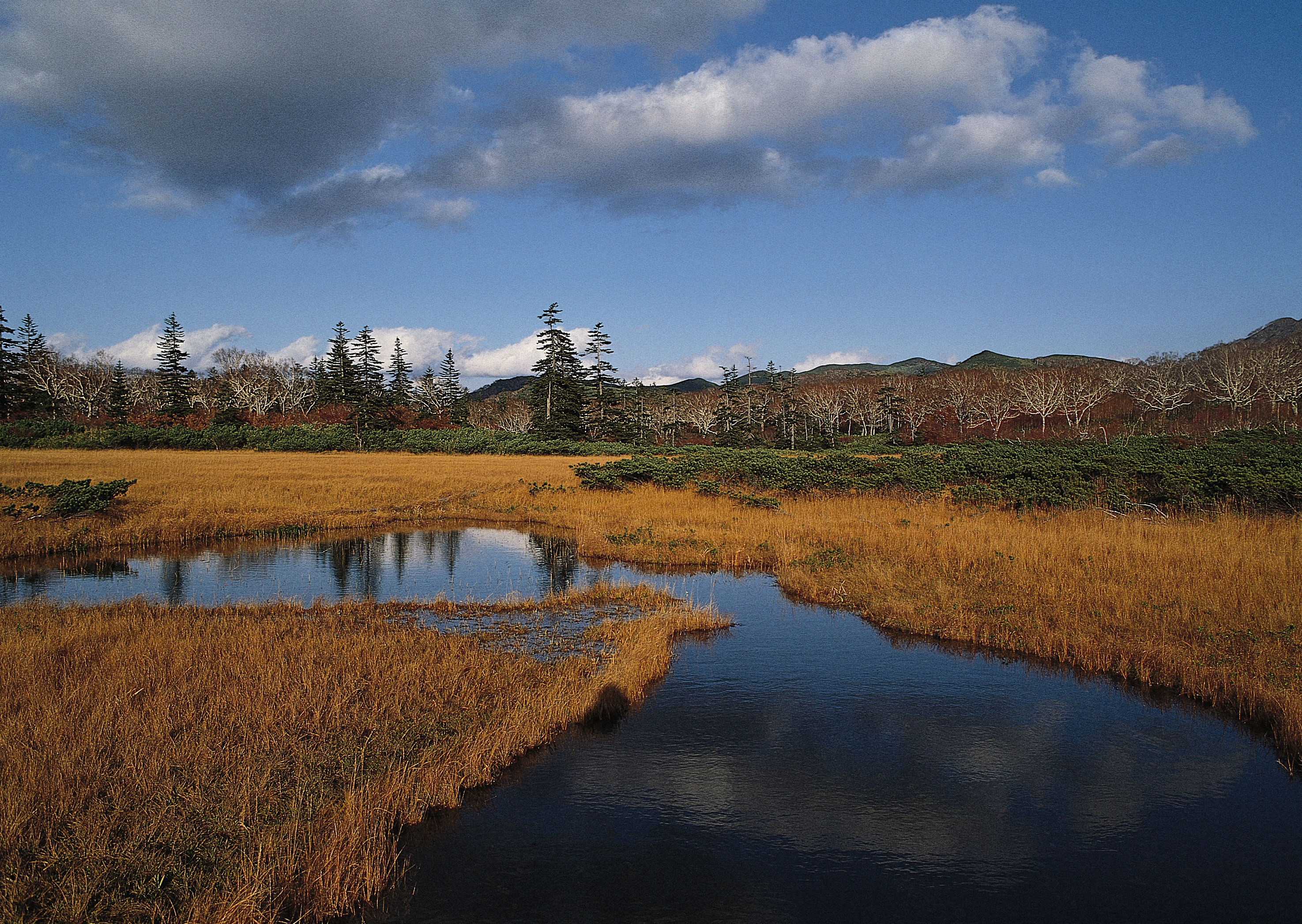 Free download high resolution image - free image free photo free stock image public domain picture -Fall foliage on the shoreline encircling Pond Hill Pond