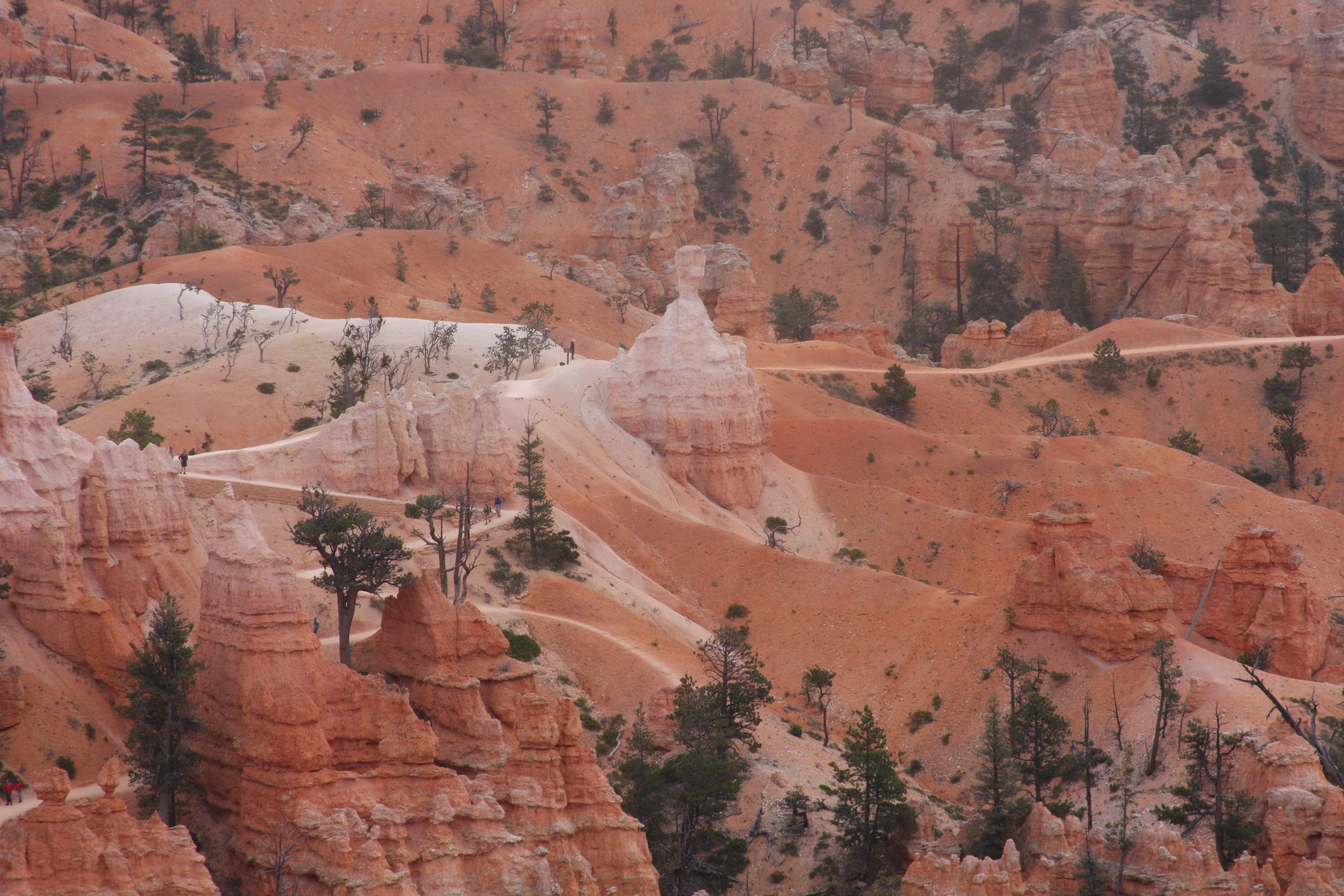 Free download high resolution image - free image free photo free stock image public domain picture -The Bryce Canyon National Park, Utah