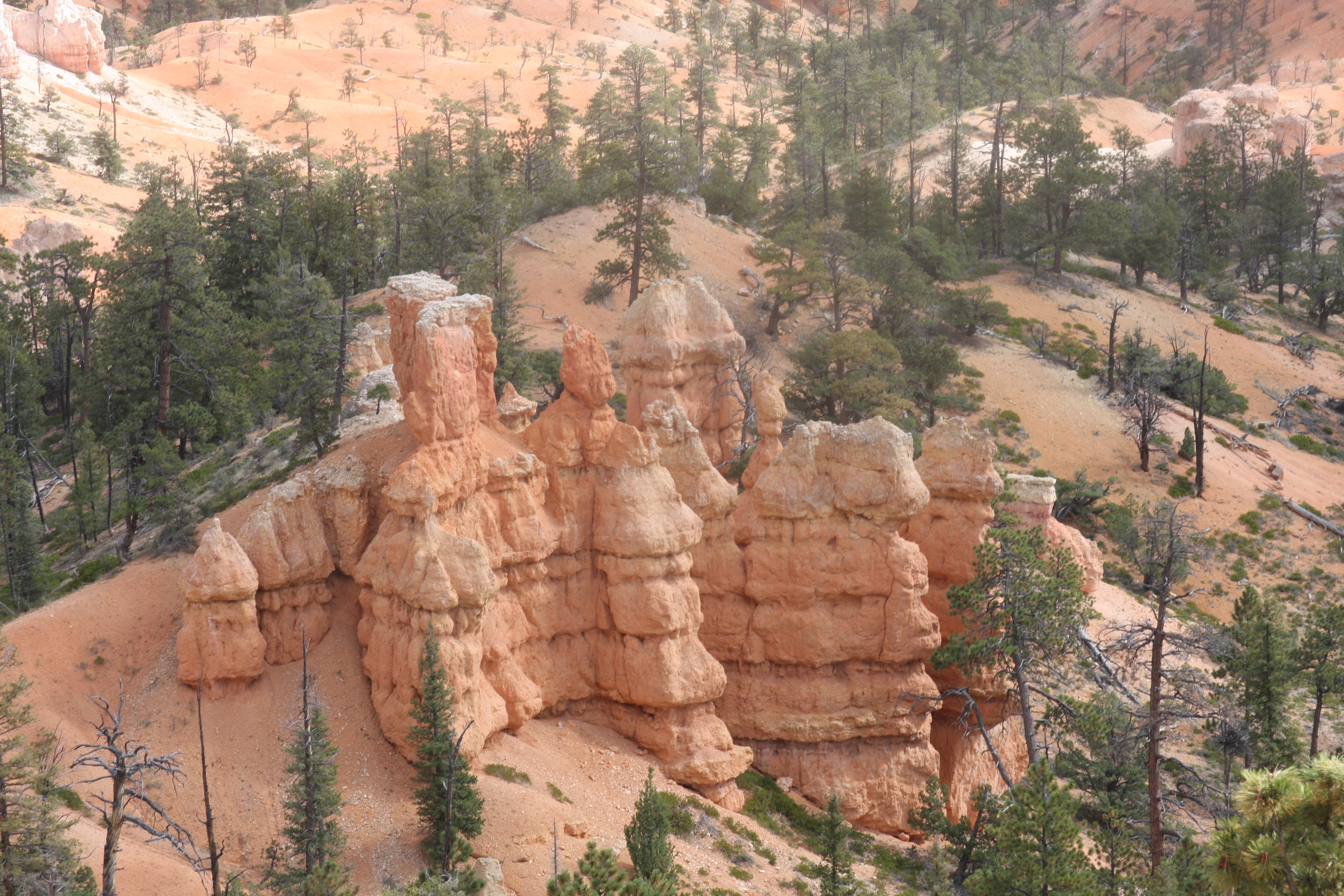 Free download high resolution image - free image free photo free stock image public domain picture -The Bryce Canyon National Park, Utah