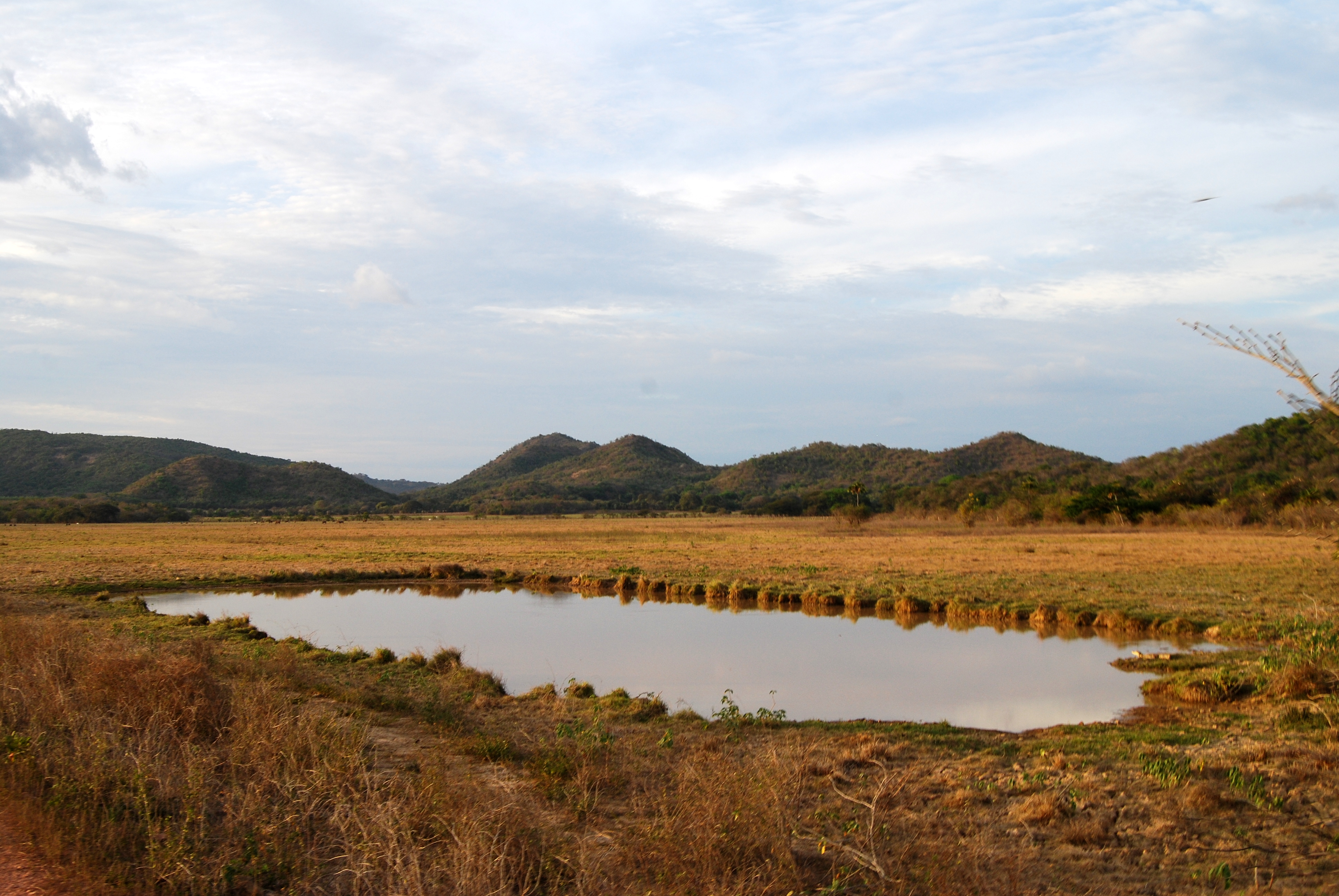 Free download high resolution image - free image free photo free stock image public domain picture -The Andes State of Merida. Venezuela