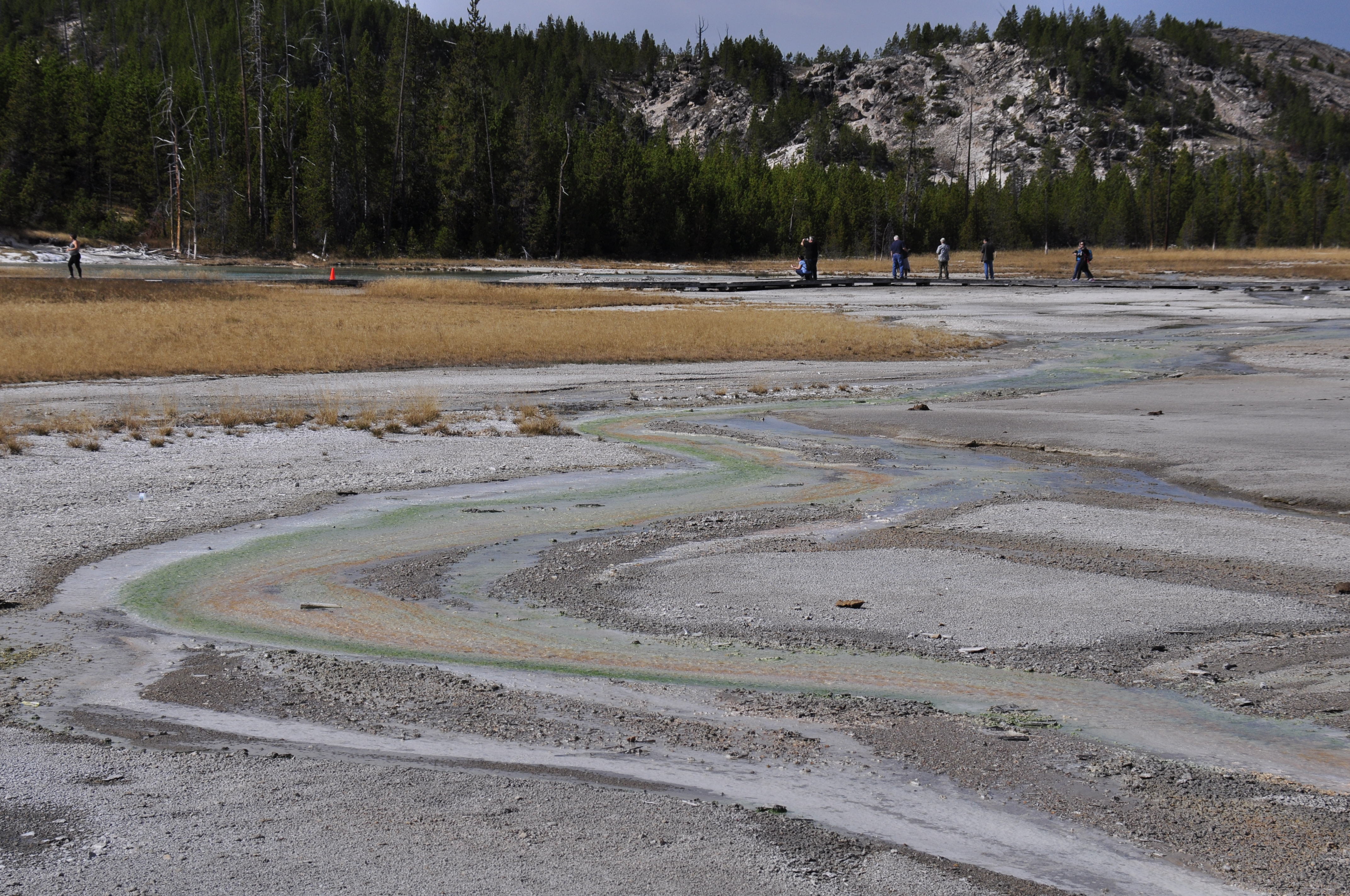 Free download high resolution image - free image free photo free stock image public domain picture -Thermal Field at Yellow Stone National Park