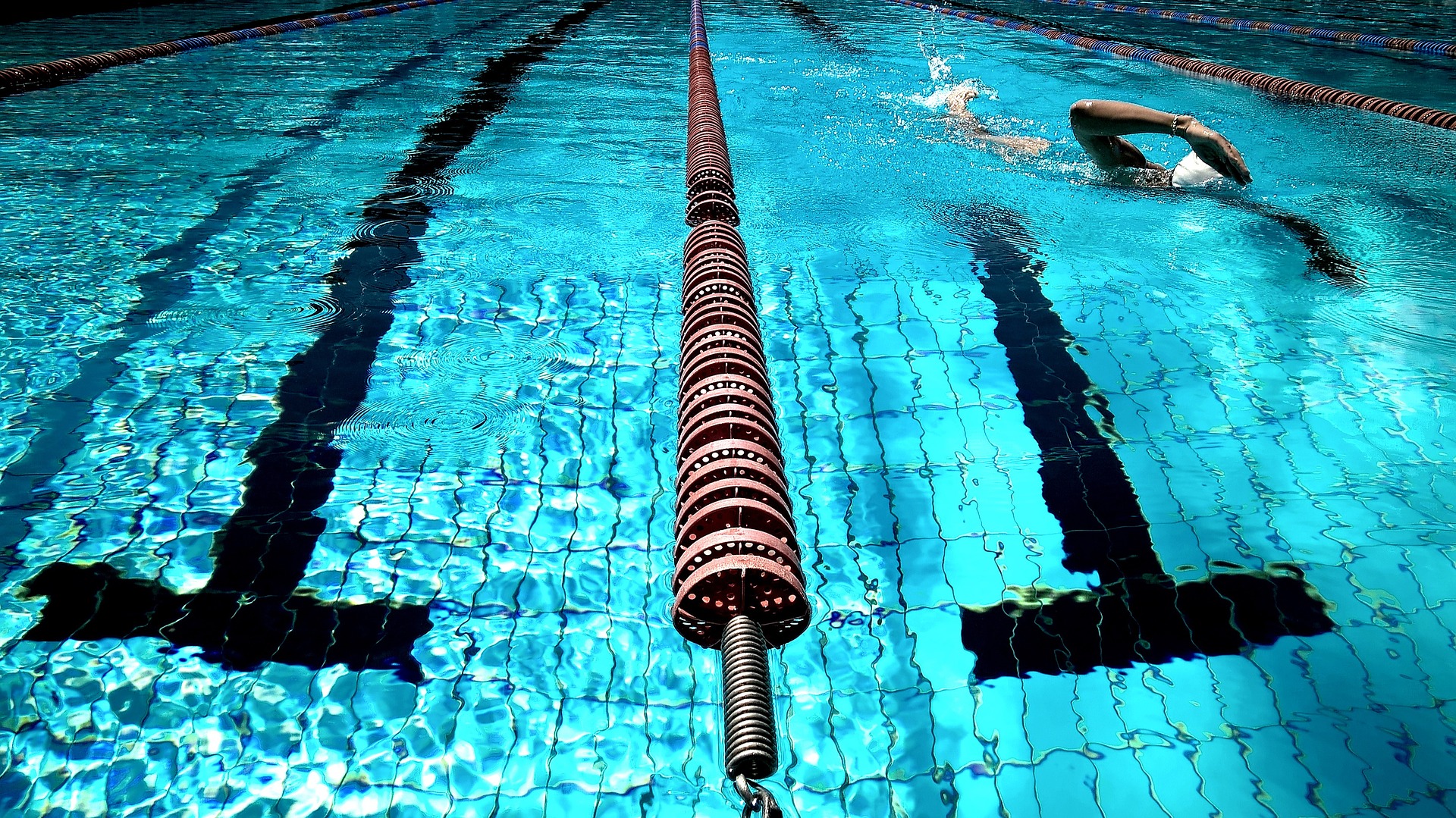 Free download high resolution image - free image free photo free stock image public domain picture -swimmer at the swimming pool.