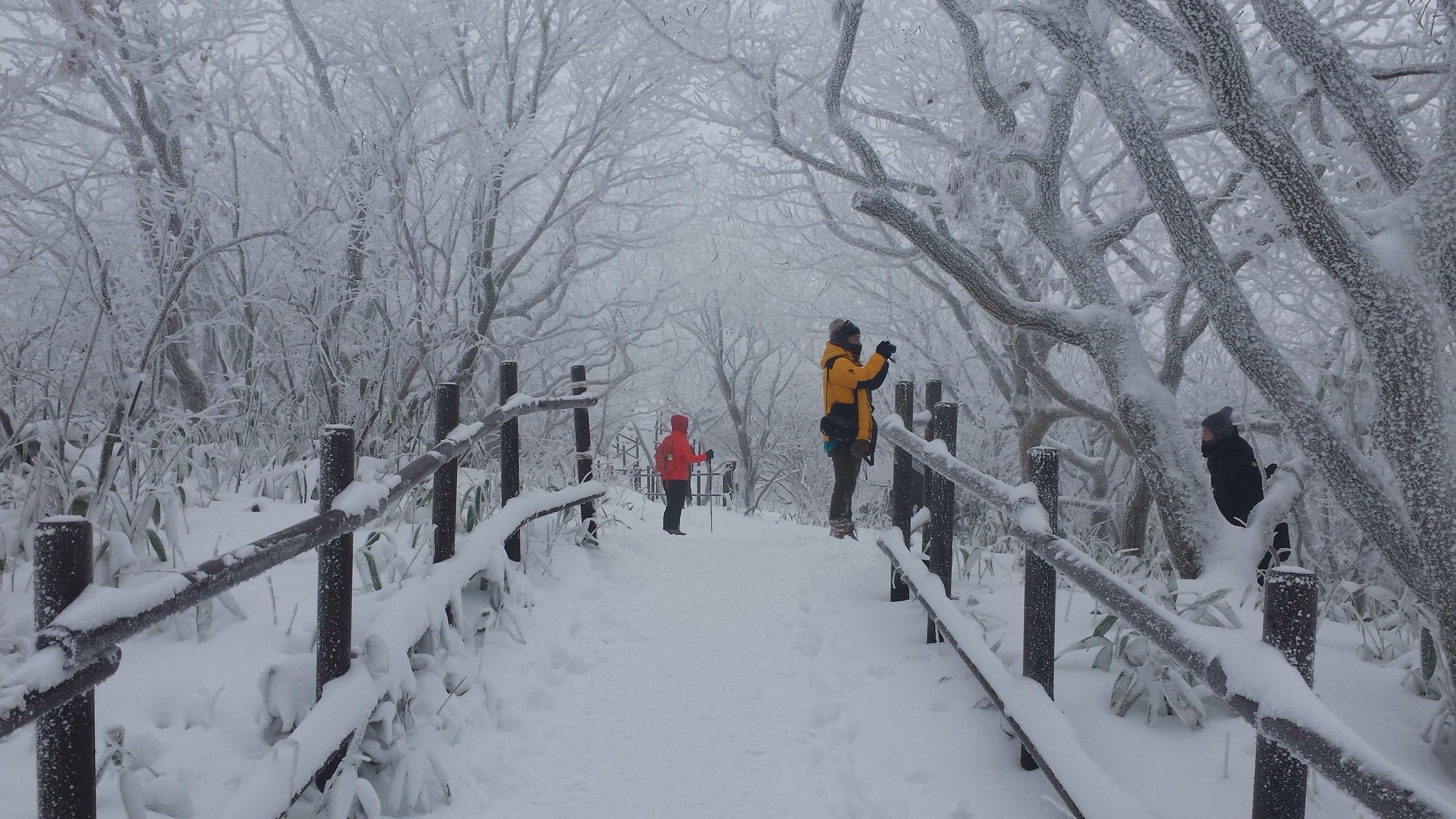 Free download high resolution image - free image free photo free stock image public domain picture -Beautiful scenery and skiing around Deogyusan,South Korea