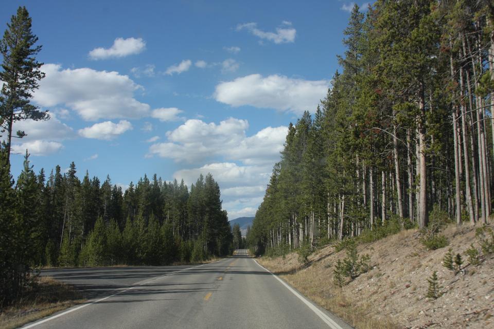 Free download high resolution image - free image free photo free stock image public domain picture  Grand Loop Road in Yellowstone National Park