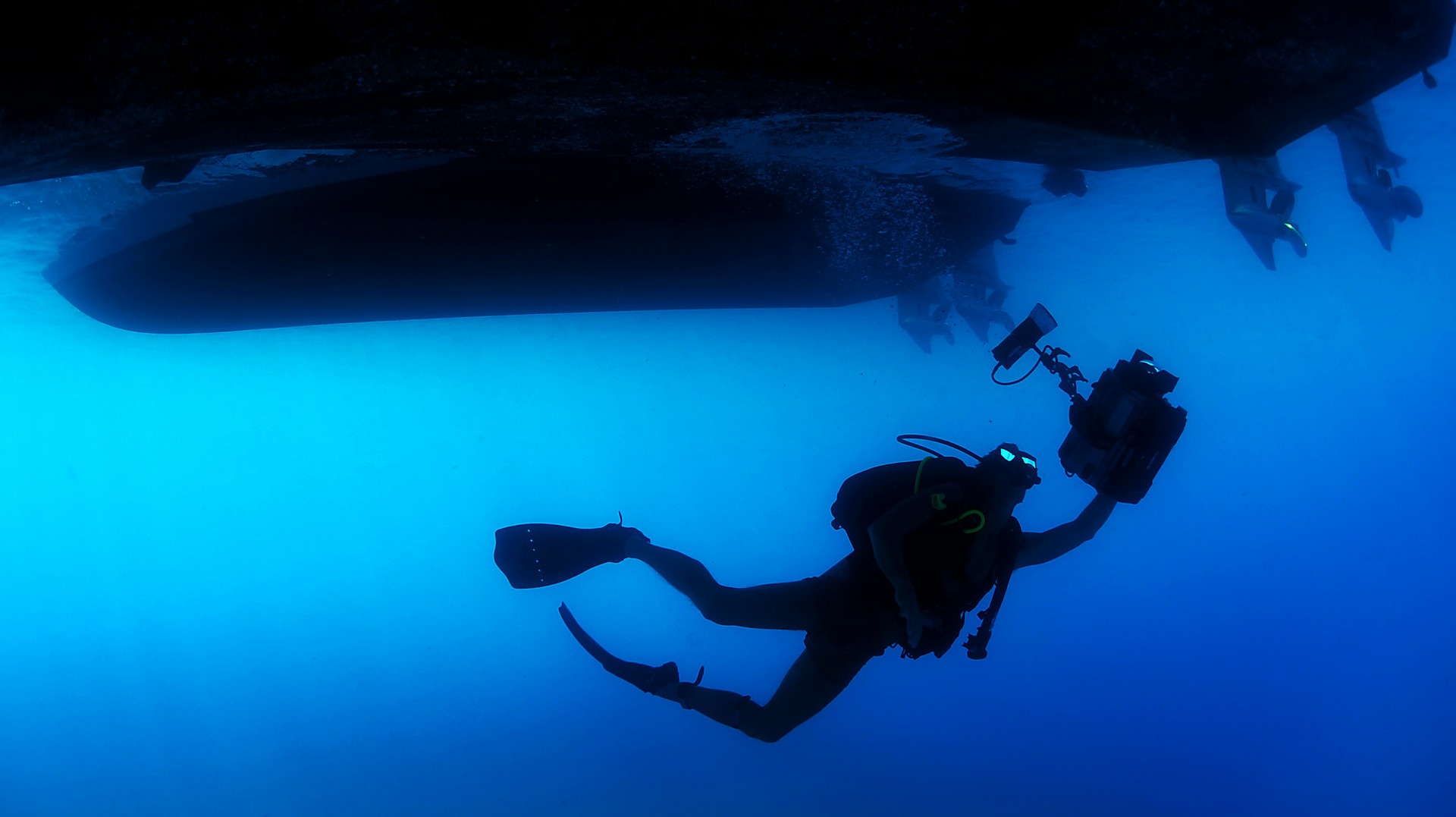 Free download high resolution image - free image free photo free stock image public domain picture -Scuba in under the sea