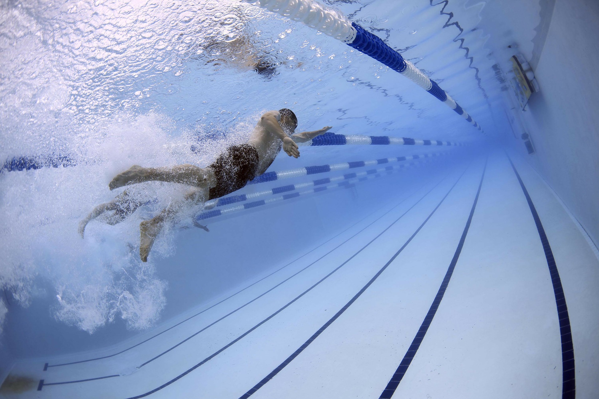 Free download high resolution image - free image free photo free stock image public domain picture -Male swimmer at the swimming pool.Underwater photo.