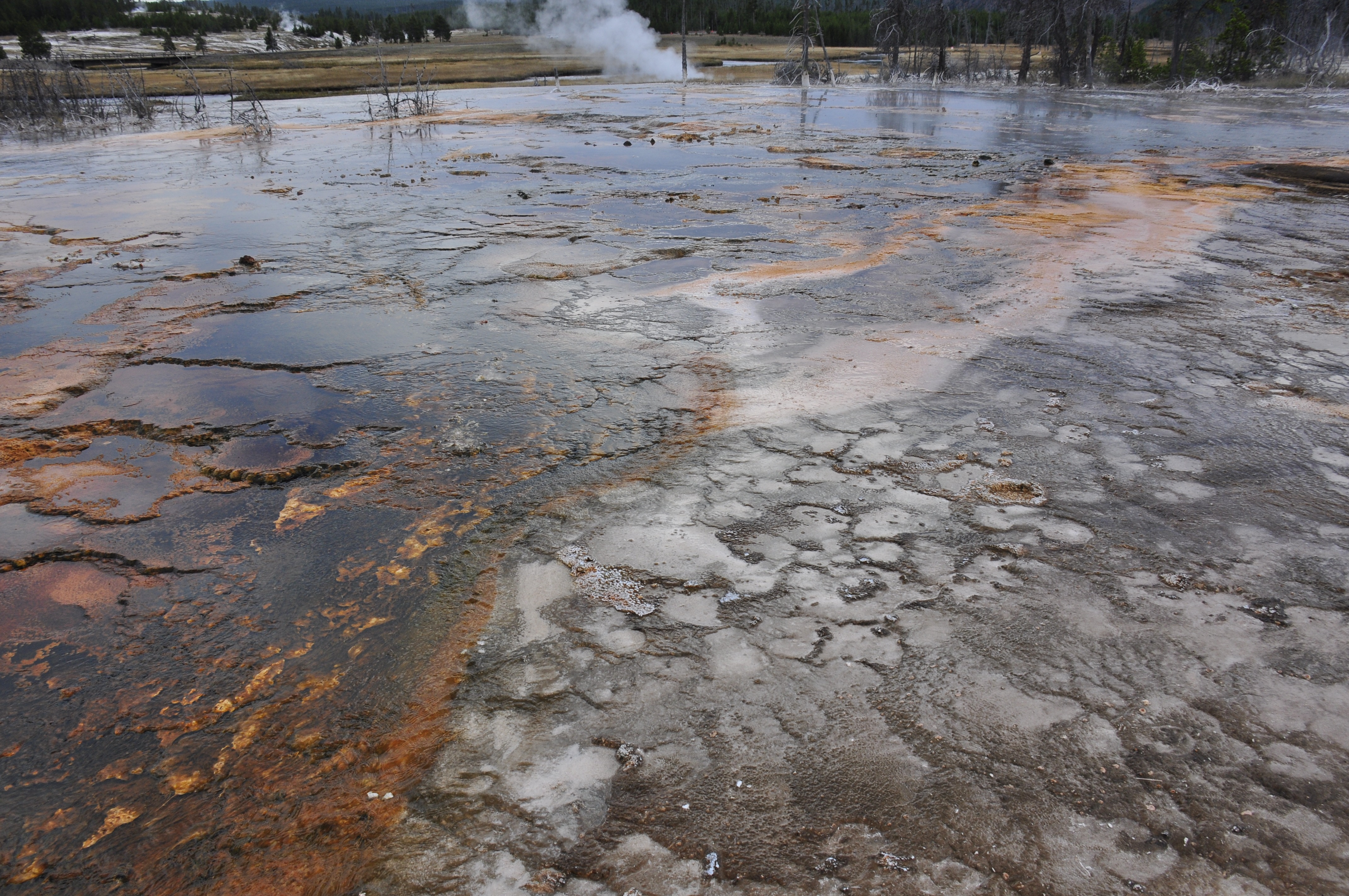 Free download high resolution image - free image free photo free stock image public domain picture -Grand Group Geyser, Upper Geyser Basin, Yellowstone