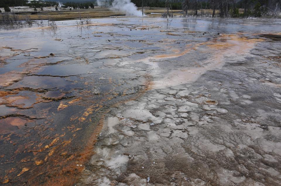 Free download high resolution image - free image free photo free stock image public domain picture  Grand Group Geyser, Upper Geyser Basin, Yellowstone