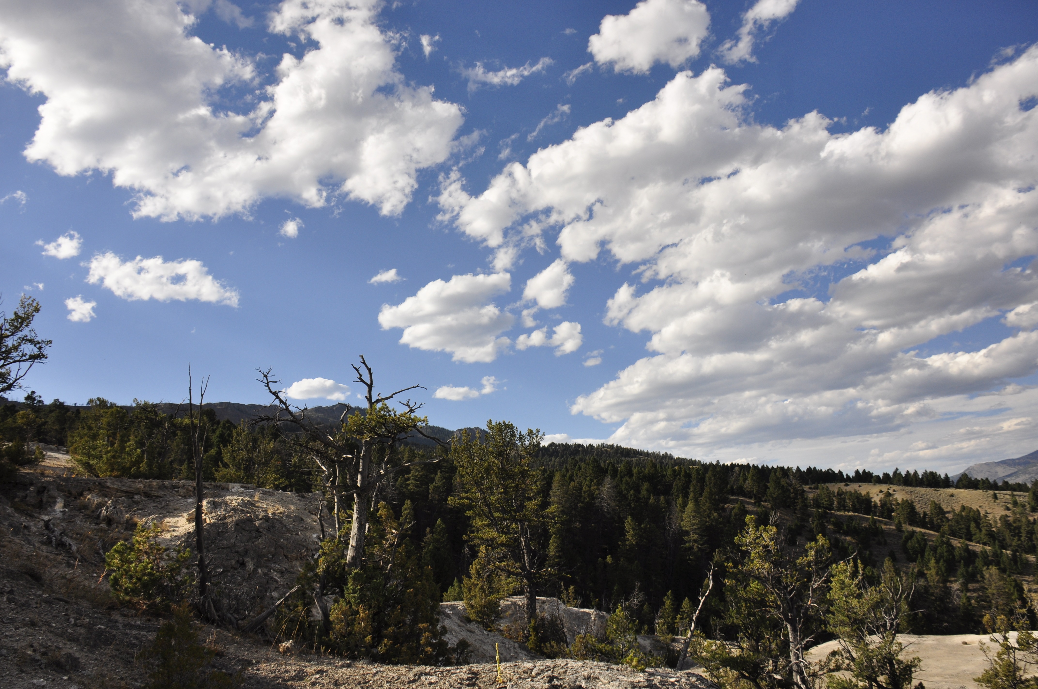 Free download high resolution image - free image free photo free stock image public domain picture -Yellowstone National Park