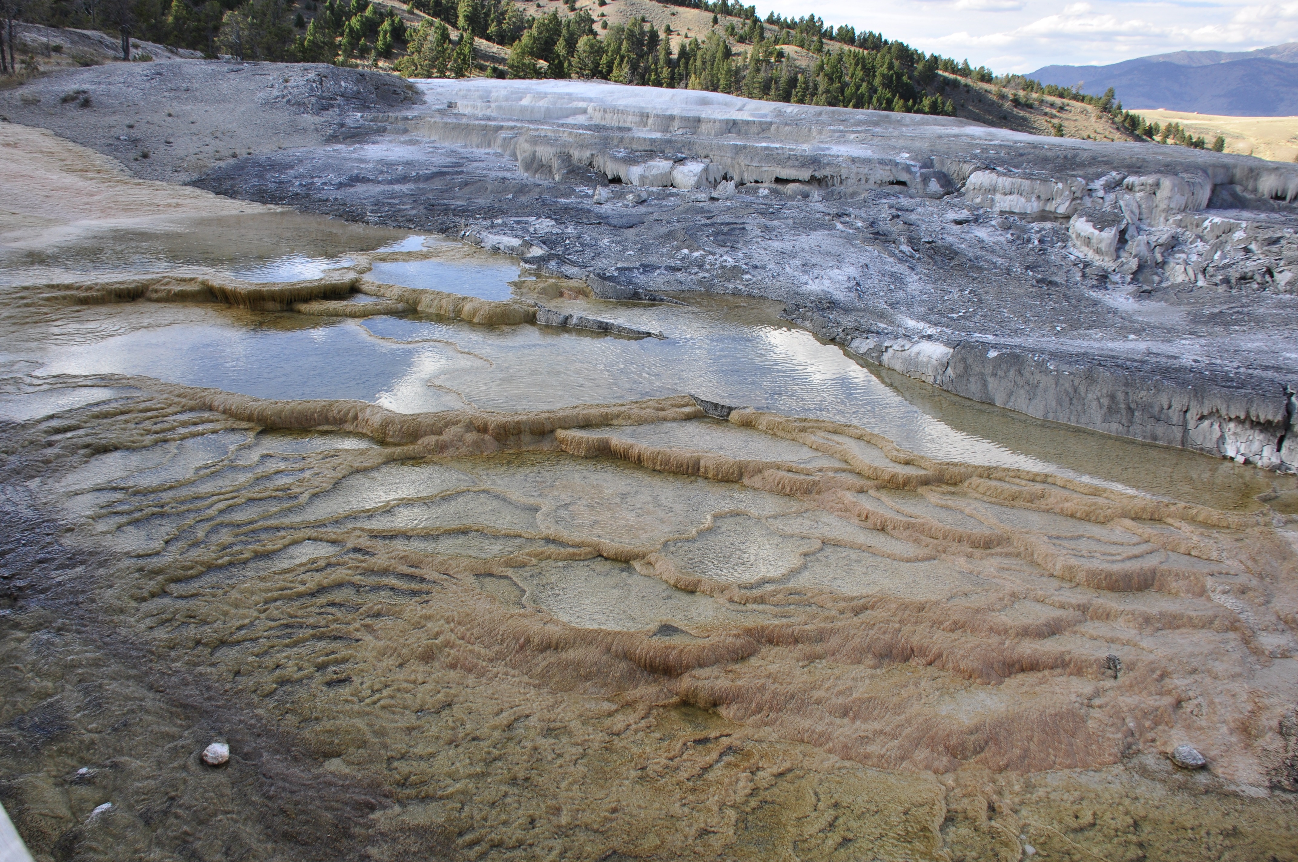 Free download high resolution image - free image free photo free stock image public domain picture -Yellowstone National Park