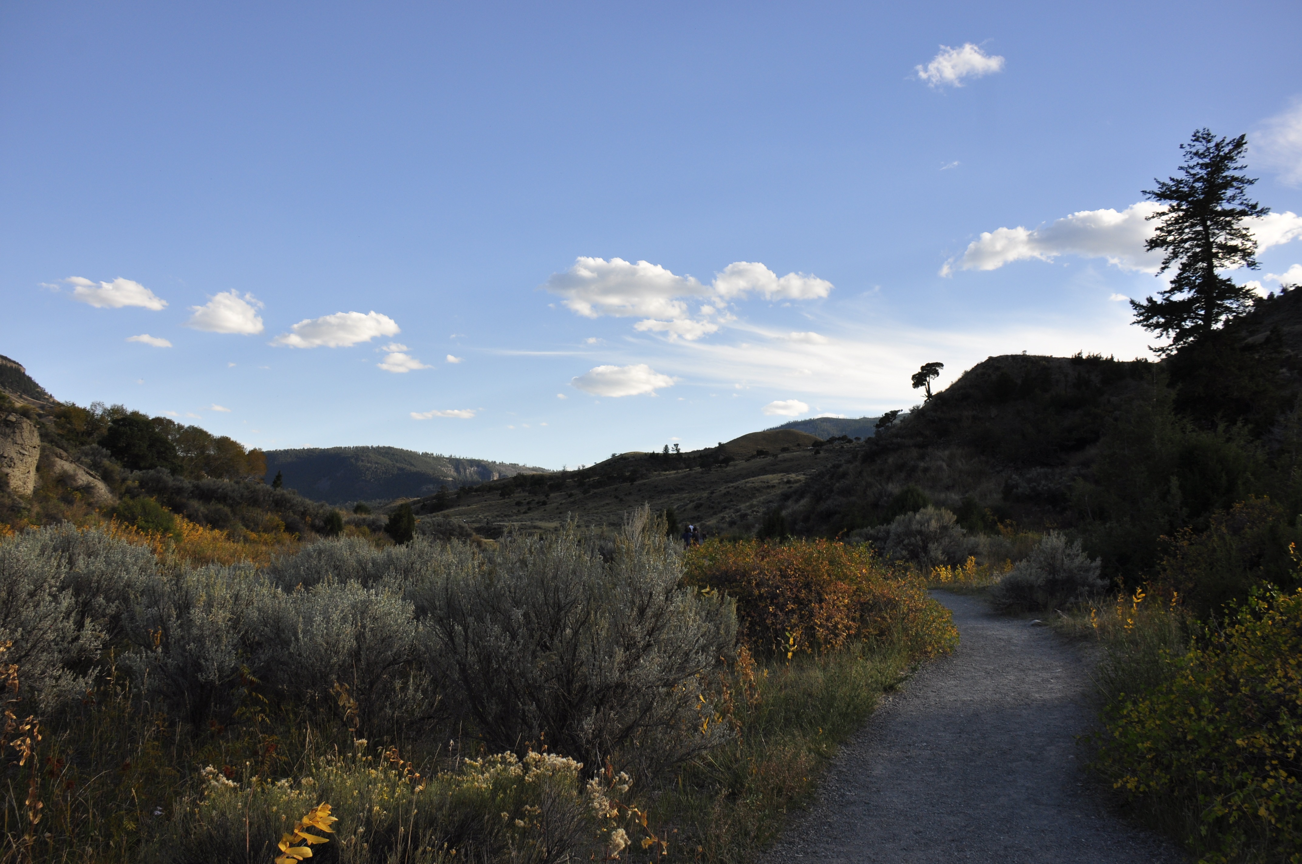 Free download high resolution image - free image free photo free stock image public domain picture -Yellowstone National Park