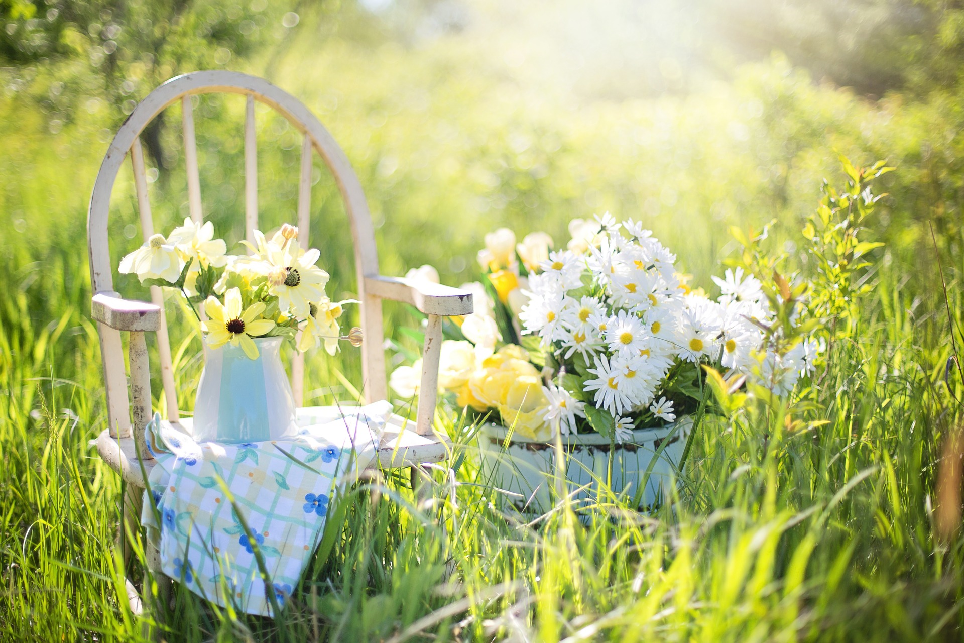 Free download high resolution image - free image free photo free stock image public domain picture -flowers on table and spring field