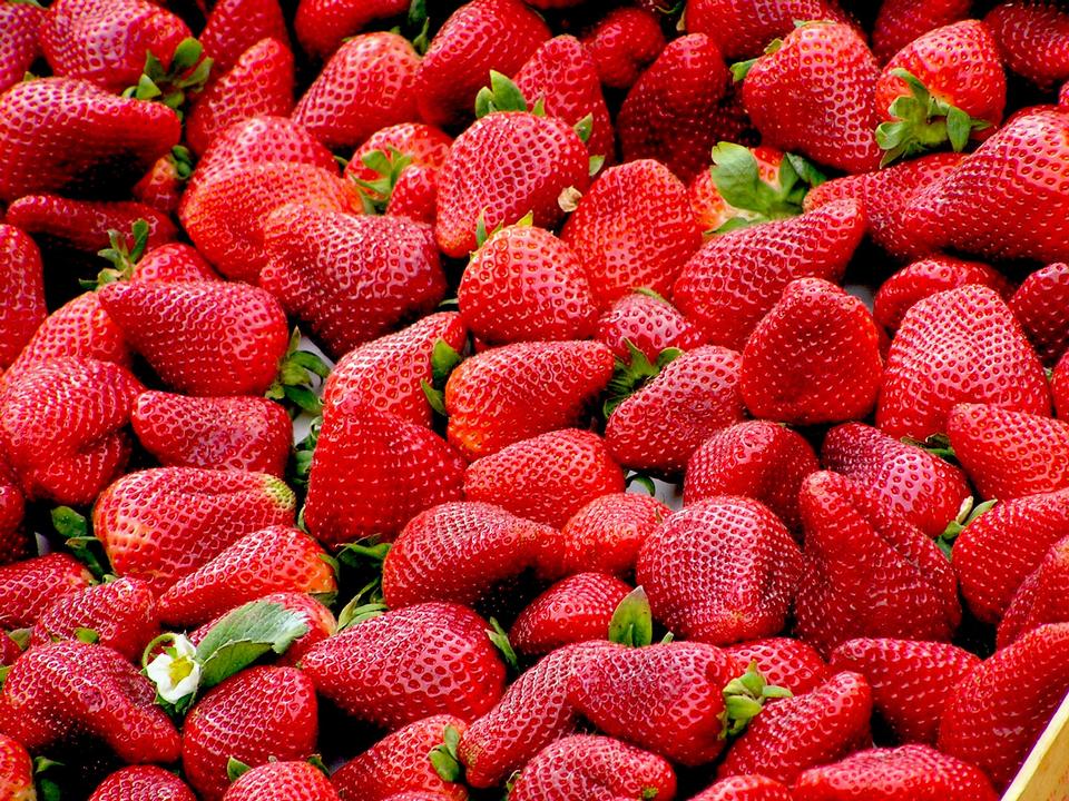 Free download high resolution image - free image free photo free stock image public domain picture  background from freshly harvested strawberries, directly above