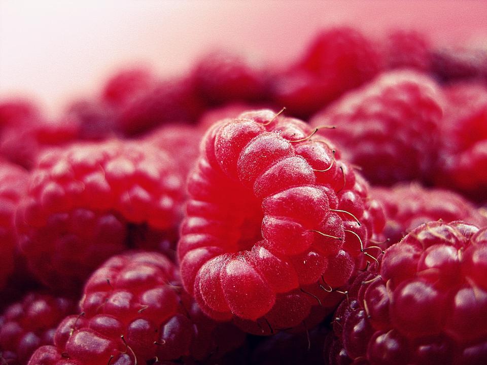 Free download high resolution image - free image free photo free stock image public domain picture  raspberries background