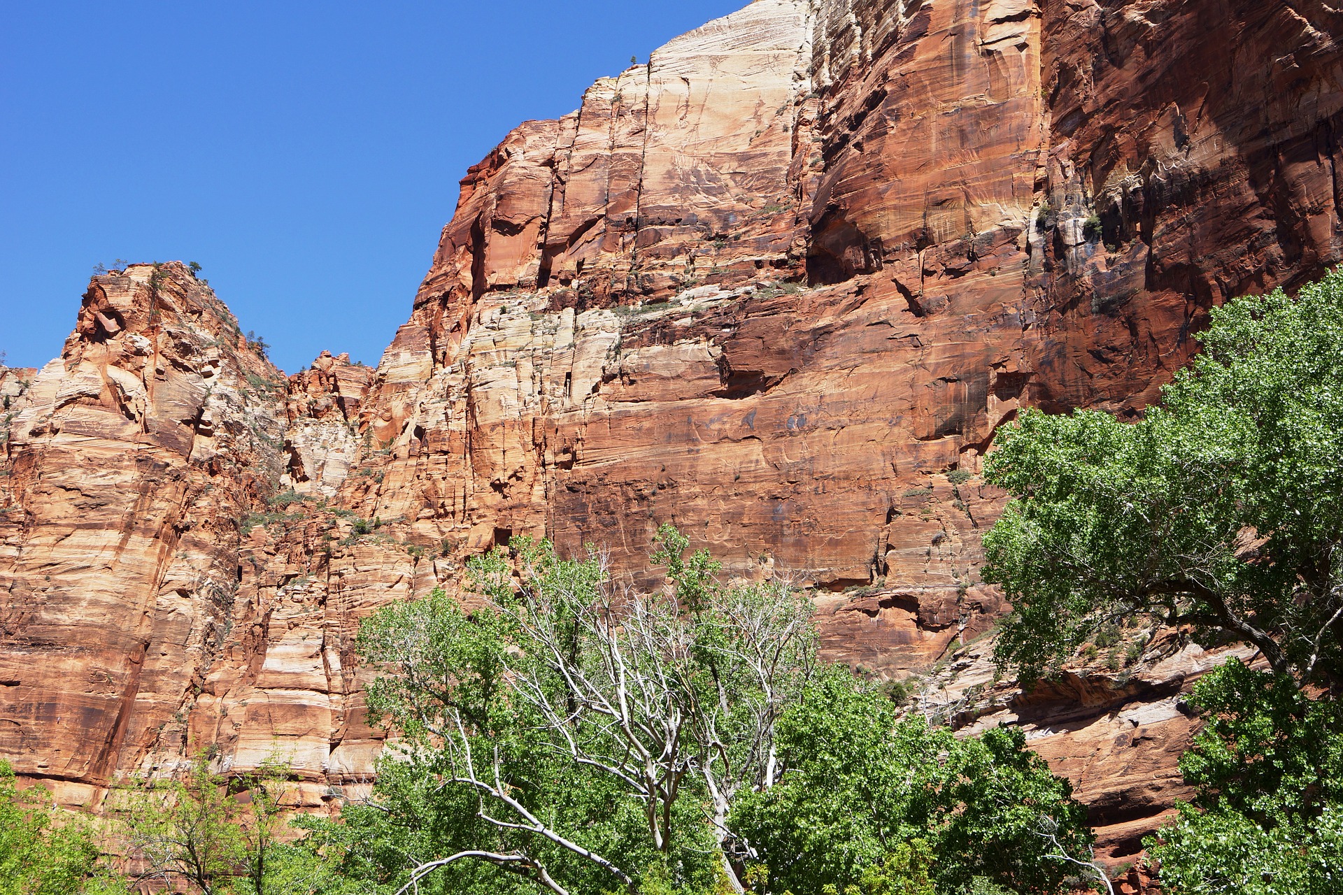 Free download high resolution image - free image free photo free stock image public domain picture -Zion Canyon, with the virgin river,Zion National Park, Utah, USA