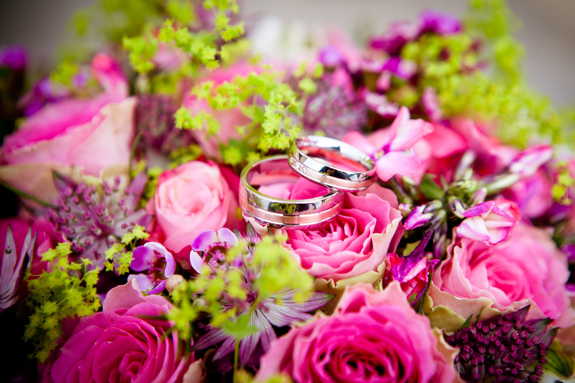 Free download high resolution image - free image free photo free stock image public domain picture -bouquet of flowers