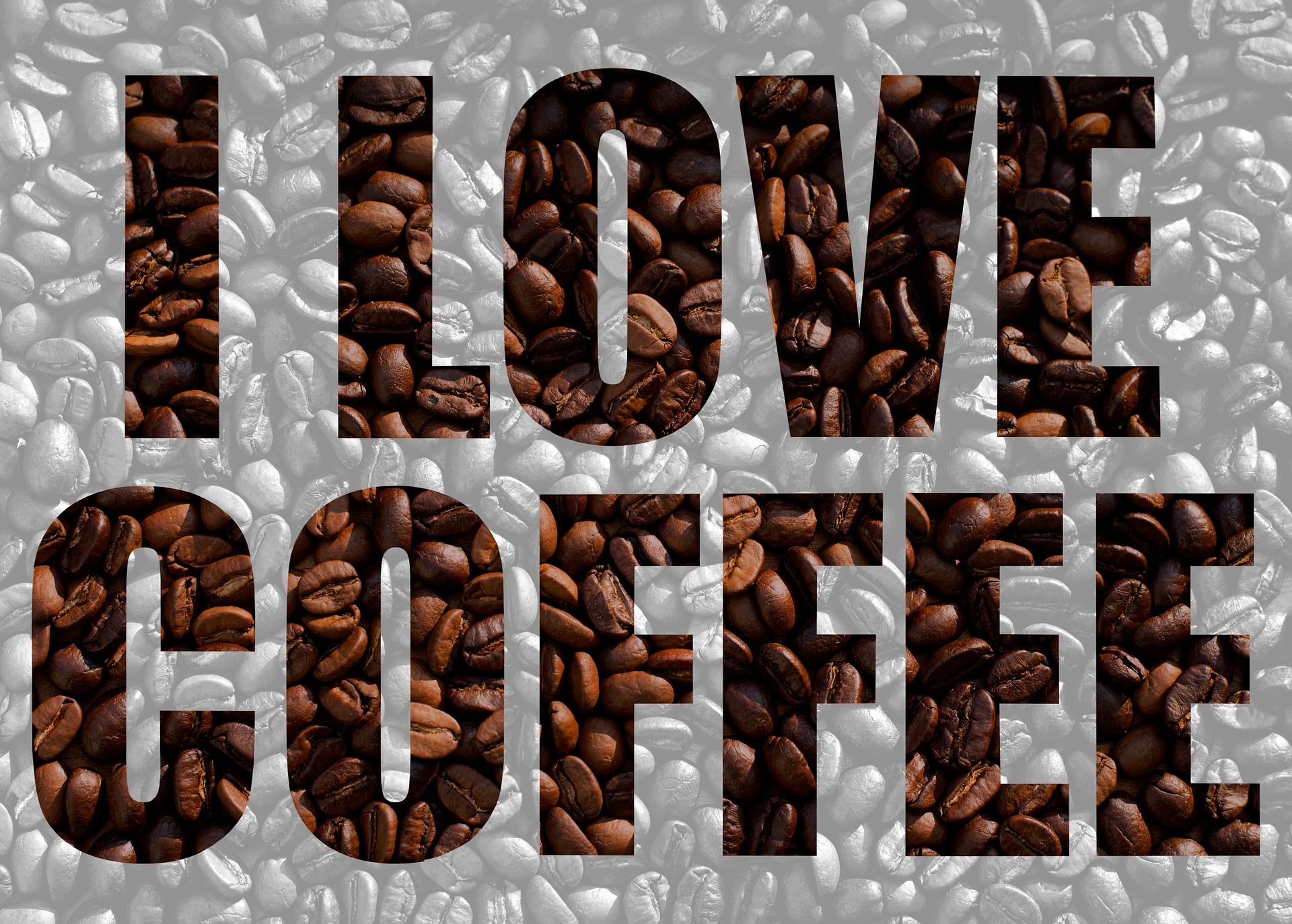 Free download high resolution image - free image free photo free stock image public domain picture -good coffee concept - coffee beans