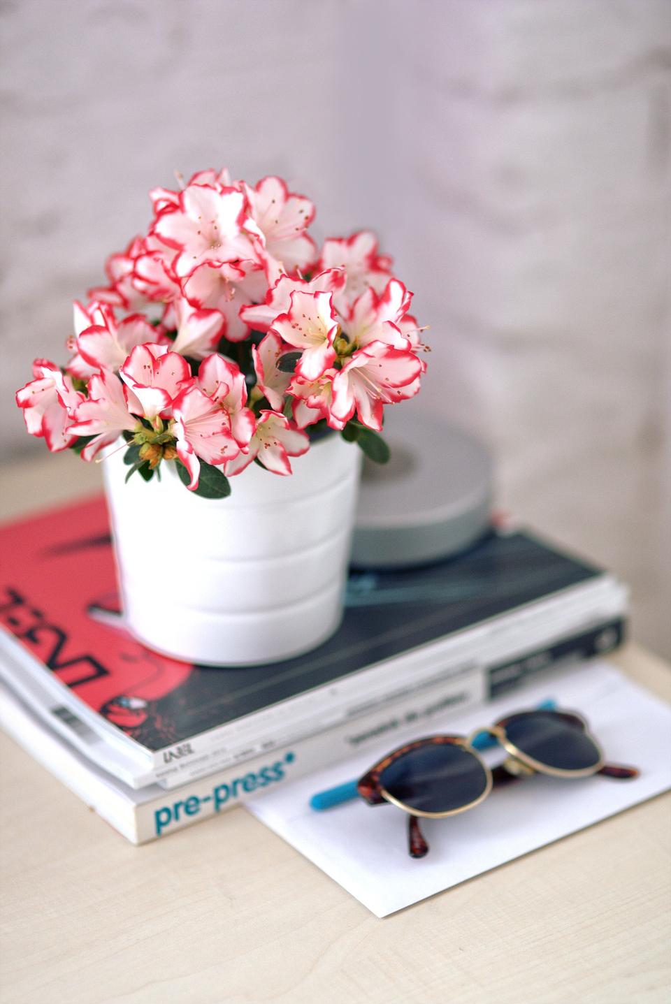 Free download high resolution image - free image free photo free stock image public domain picture  Summer bouquet of  pink eustomas in an antique wooden table