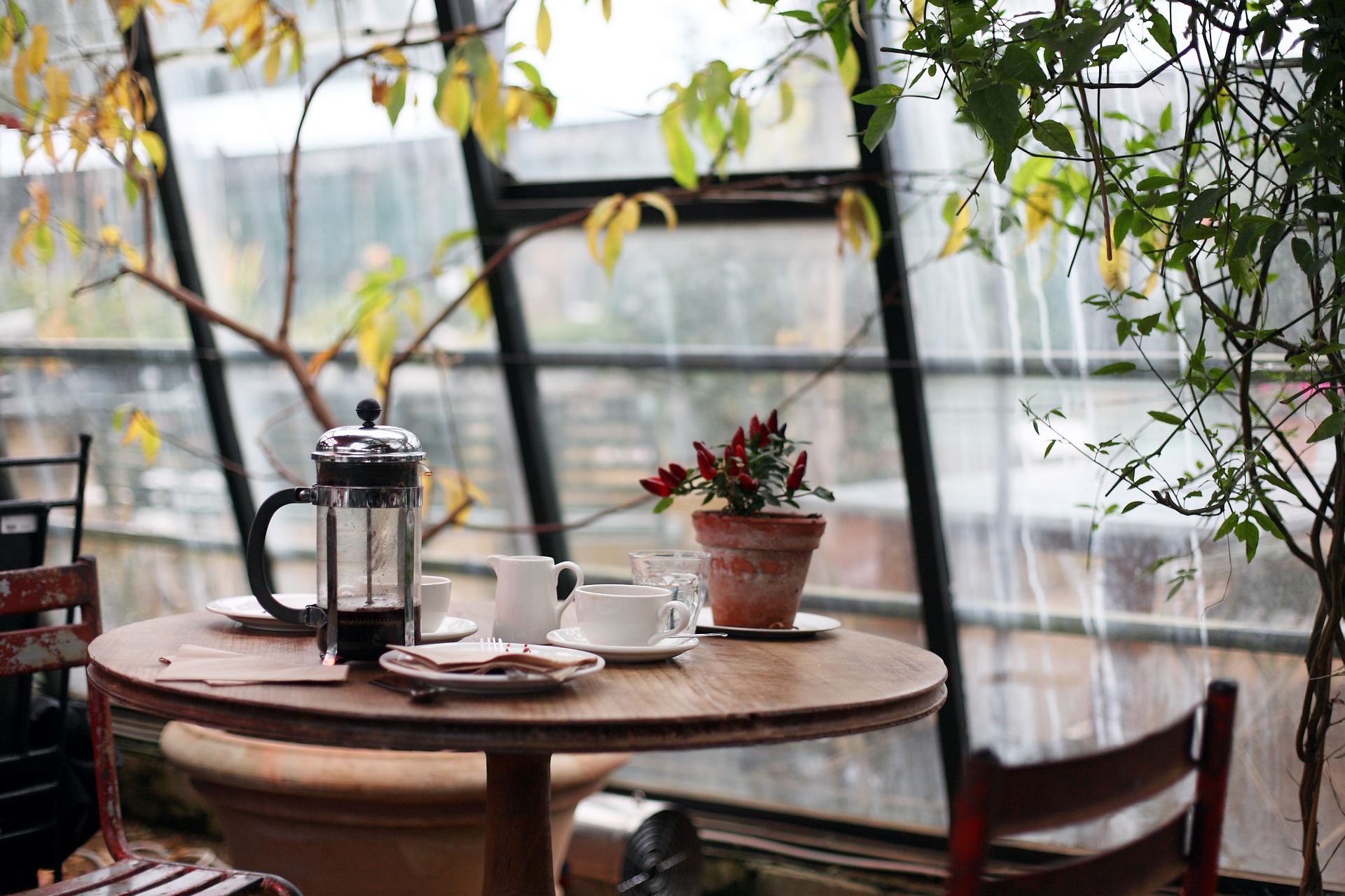 Free download high resolution image - free image free photo free stock image public domain picture -tables and chairs in a cafe