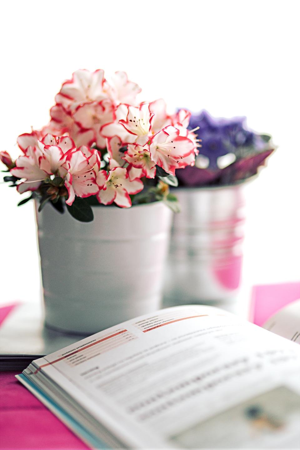 Free download high resolution image - free image free photo free stock image public domain picture  Beautiful fresh spring flowers with stack of books