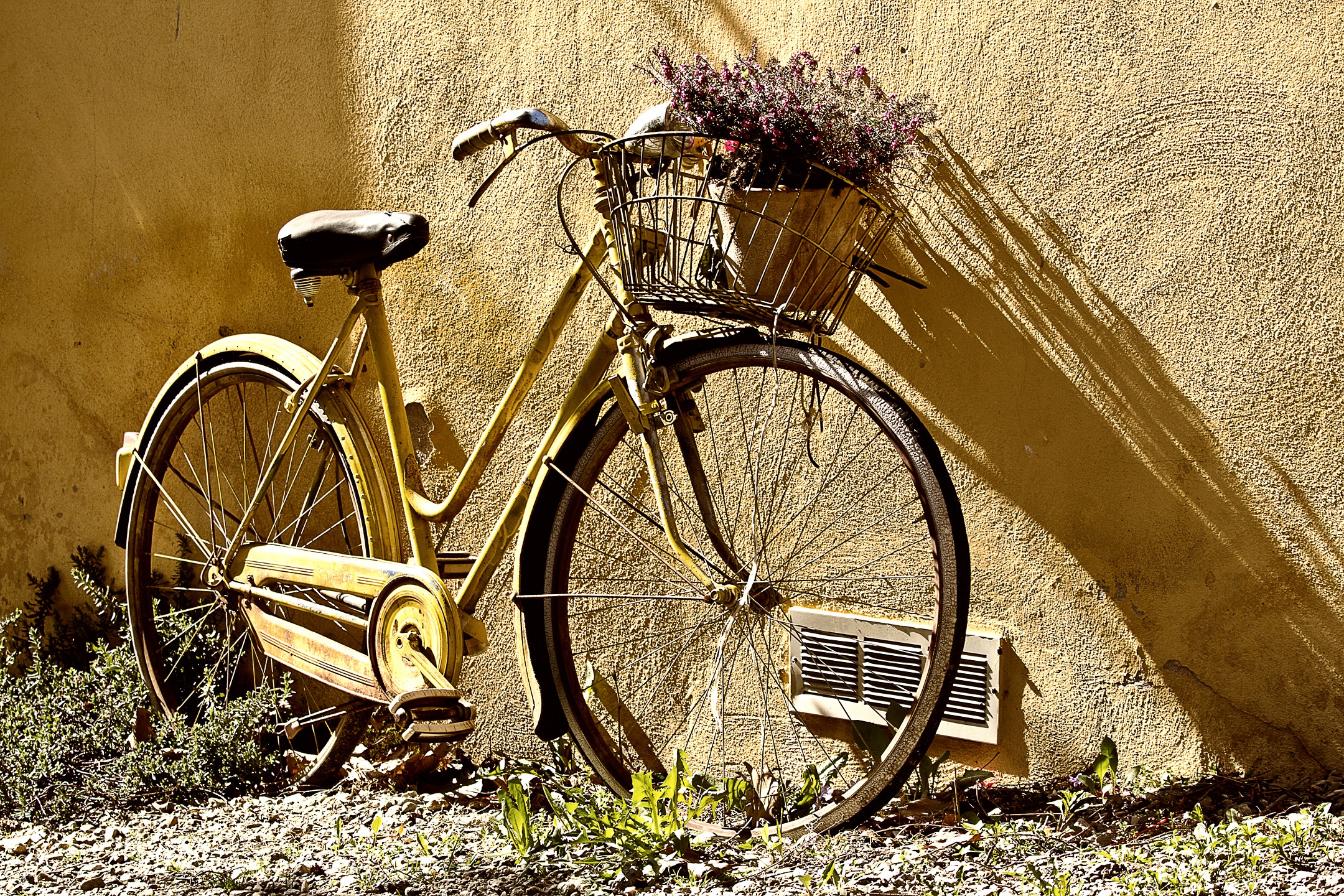 Free download high resolution image - free image free photo free stock image public domain picture -Yellow bicycle on leaf wall background