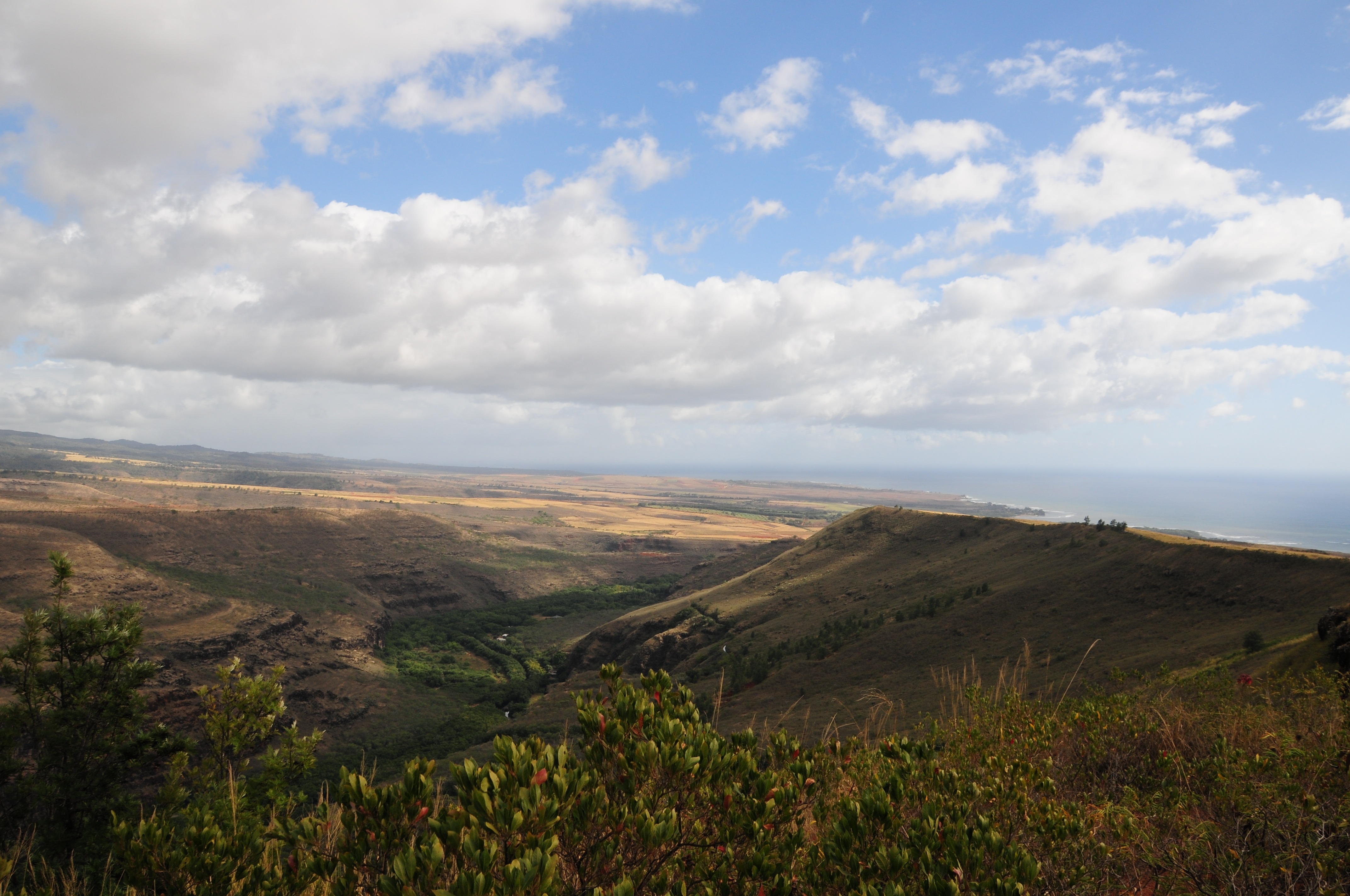 Free download high resolution image - free image free photo free stock image public domain picture -Overlooking Waimea Canyon State Park on the island of Kauai