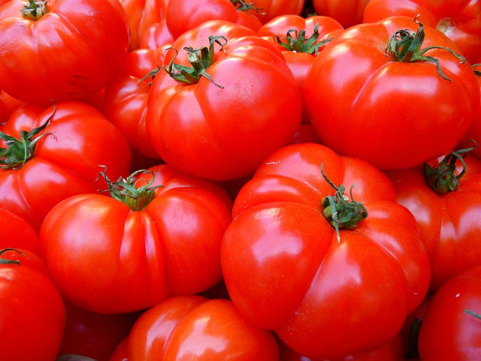 Free download high resolution image - free image free photo free stock image public domain picture  Red ripe tomatoes background