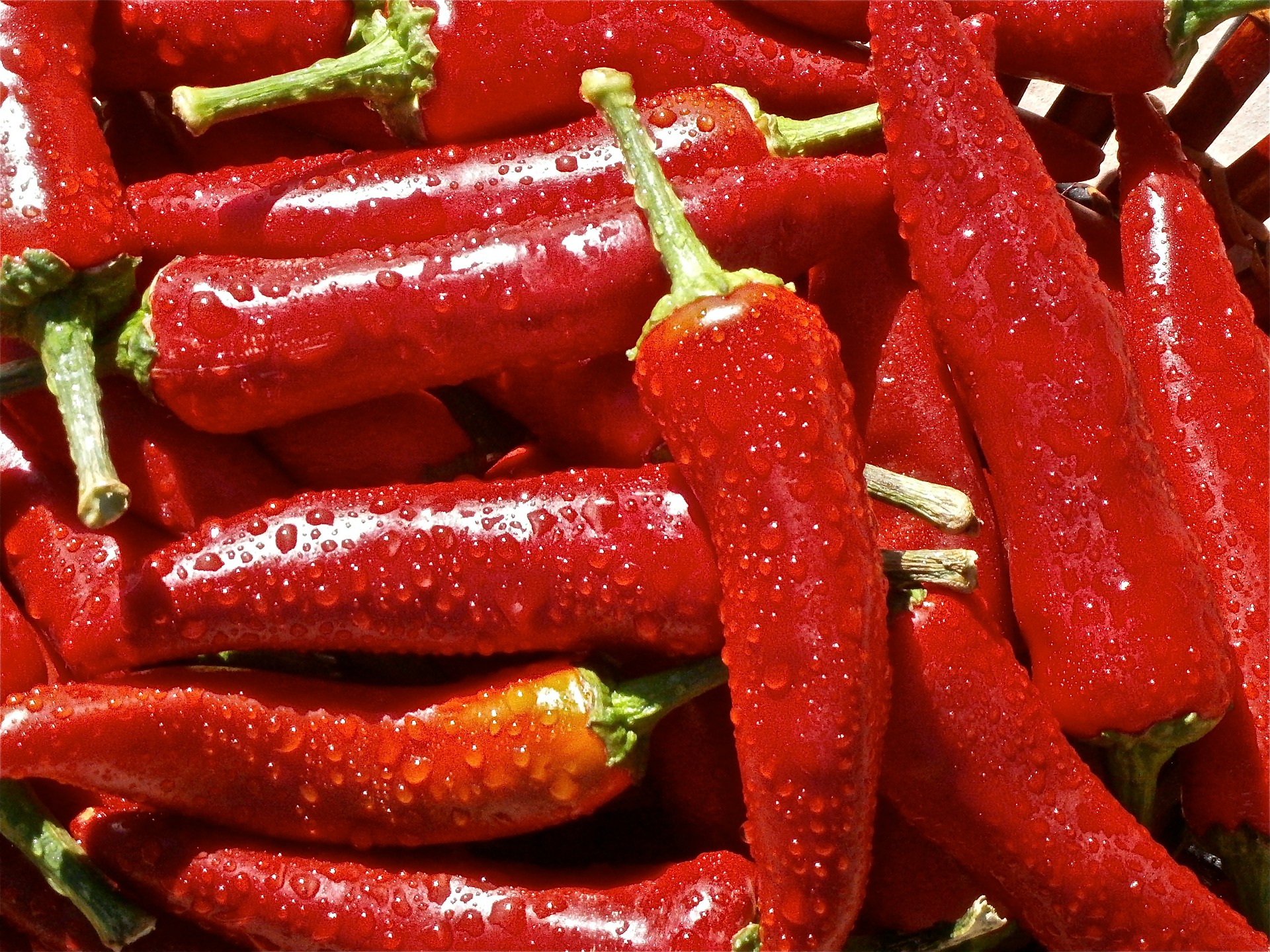 Free download high resolution image - free image free photo free stock image public domain picture -many hot red chili peppers on market stall