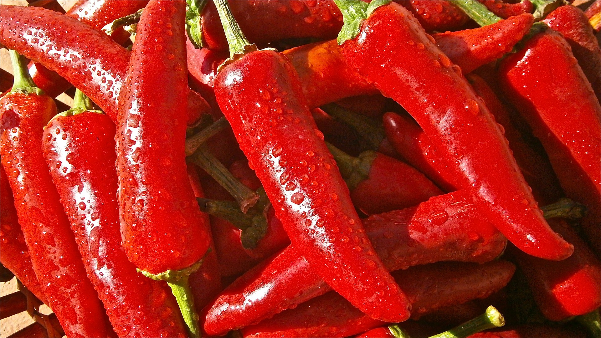 Free download high resolution image - free image free photo free stock image public domain picture -Basket of long red chillies