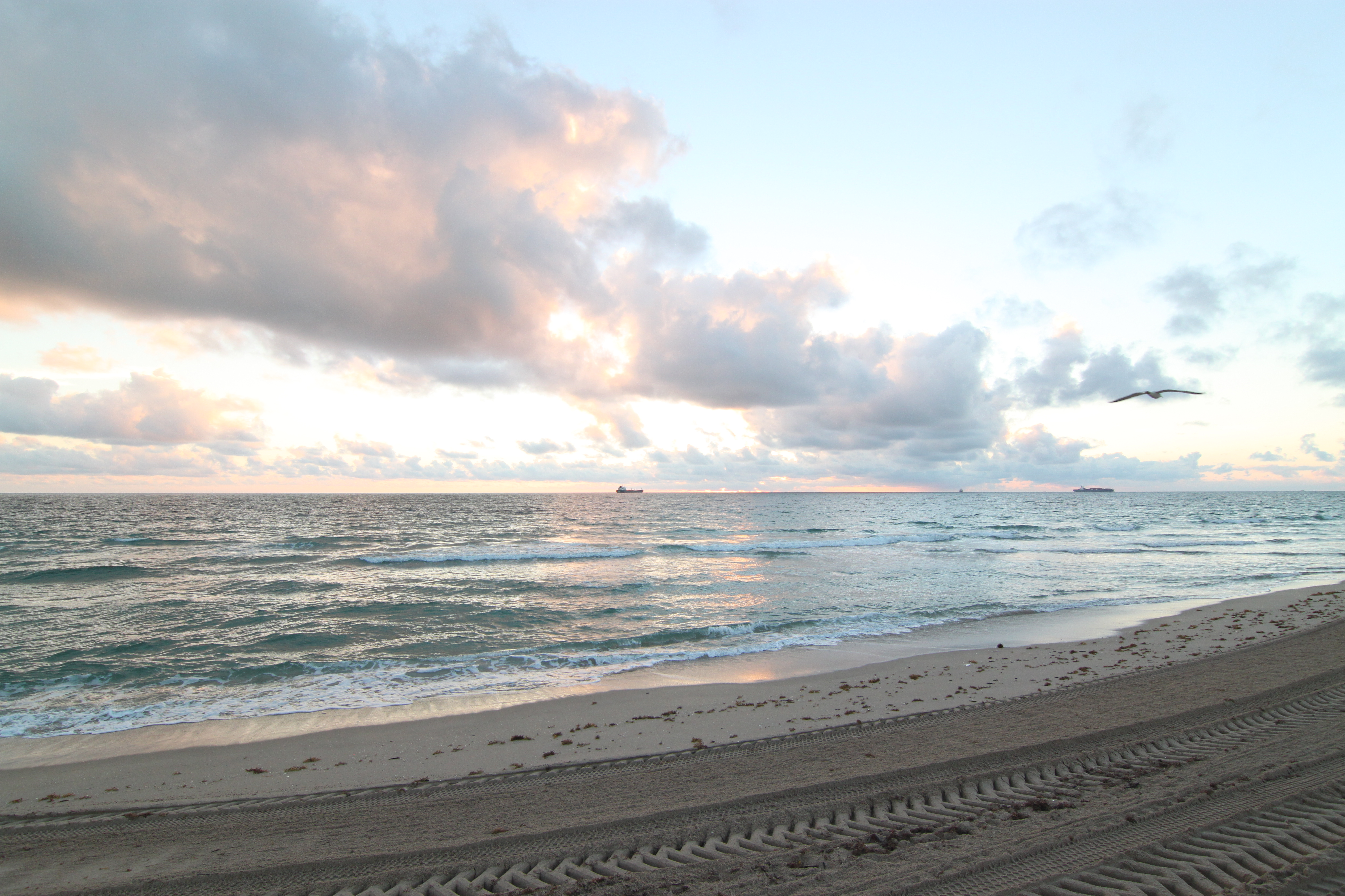 Free download high resolution image - free image free photo free stock image public domain picture -Florida