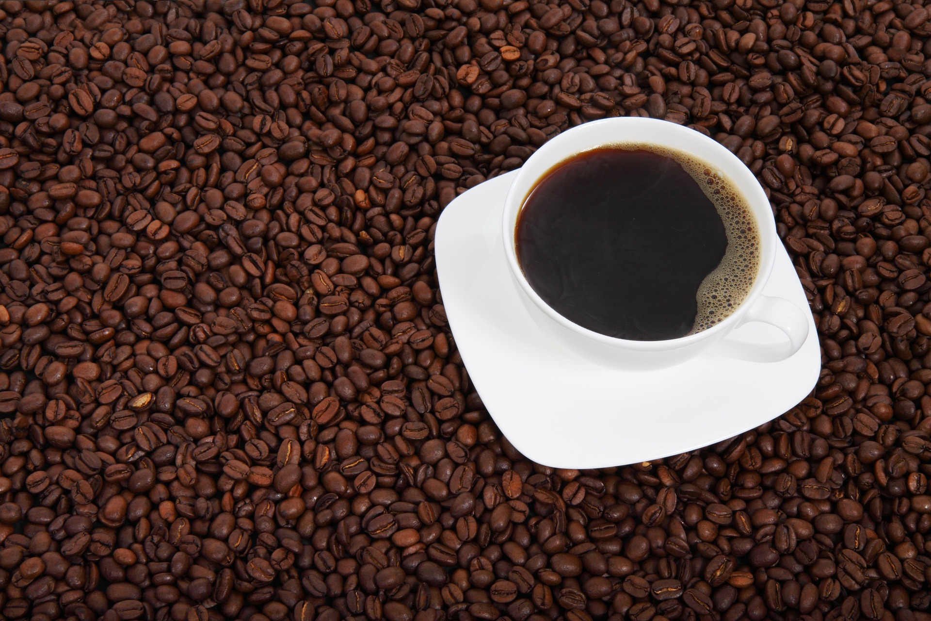 Free download high resolution image - free image free photo free stock image public domain picture -Cup of coffee with coffee bean