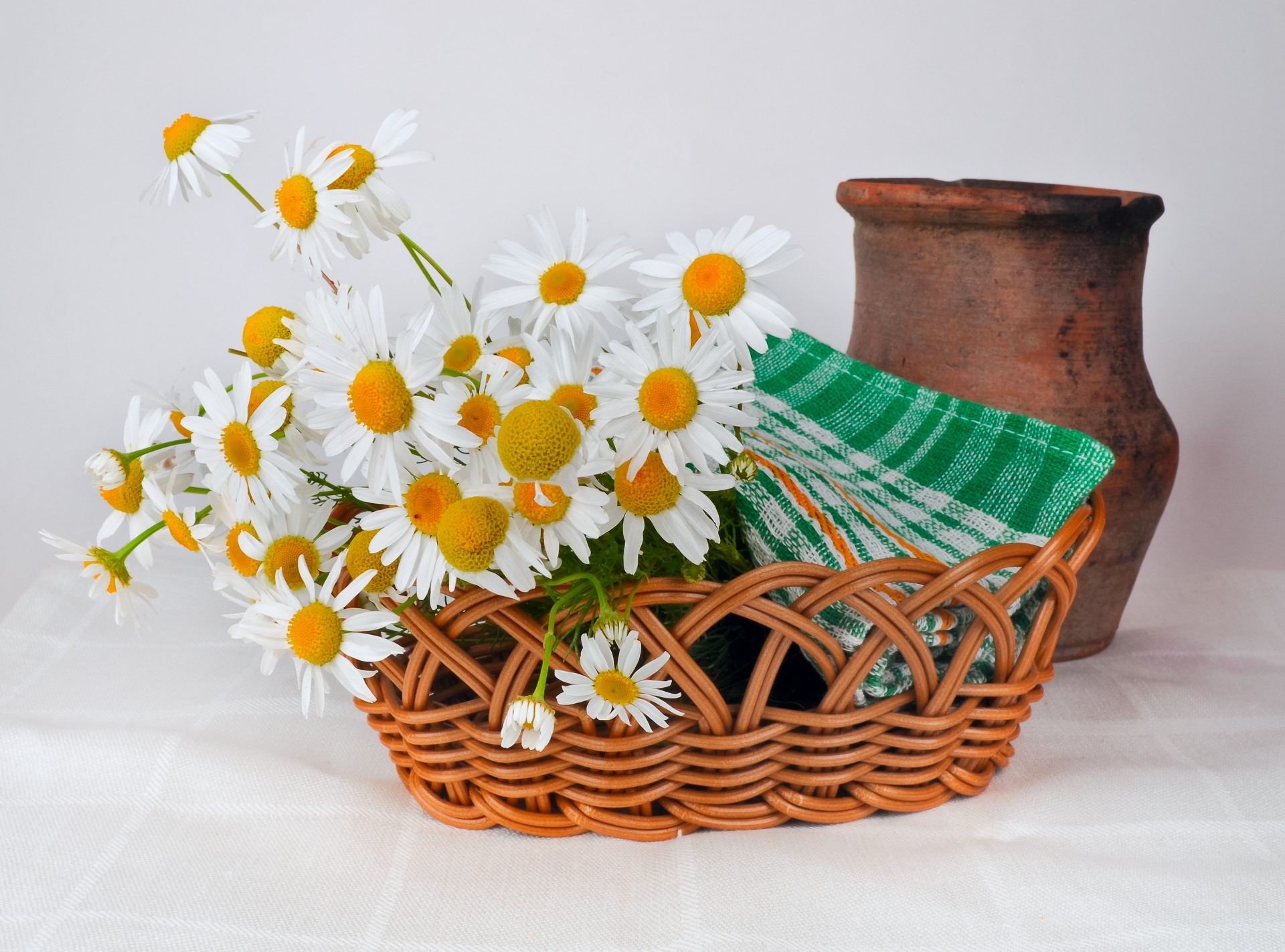 Free download high resolution image - free image free photo free stock image public domain picture -decoration with daisy flowers