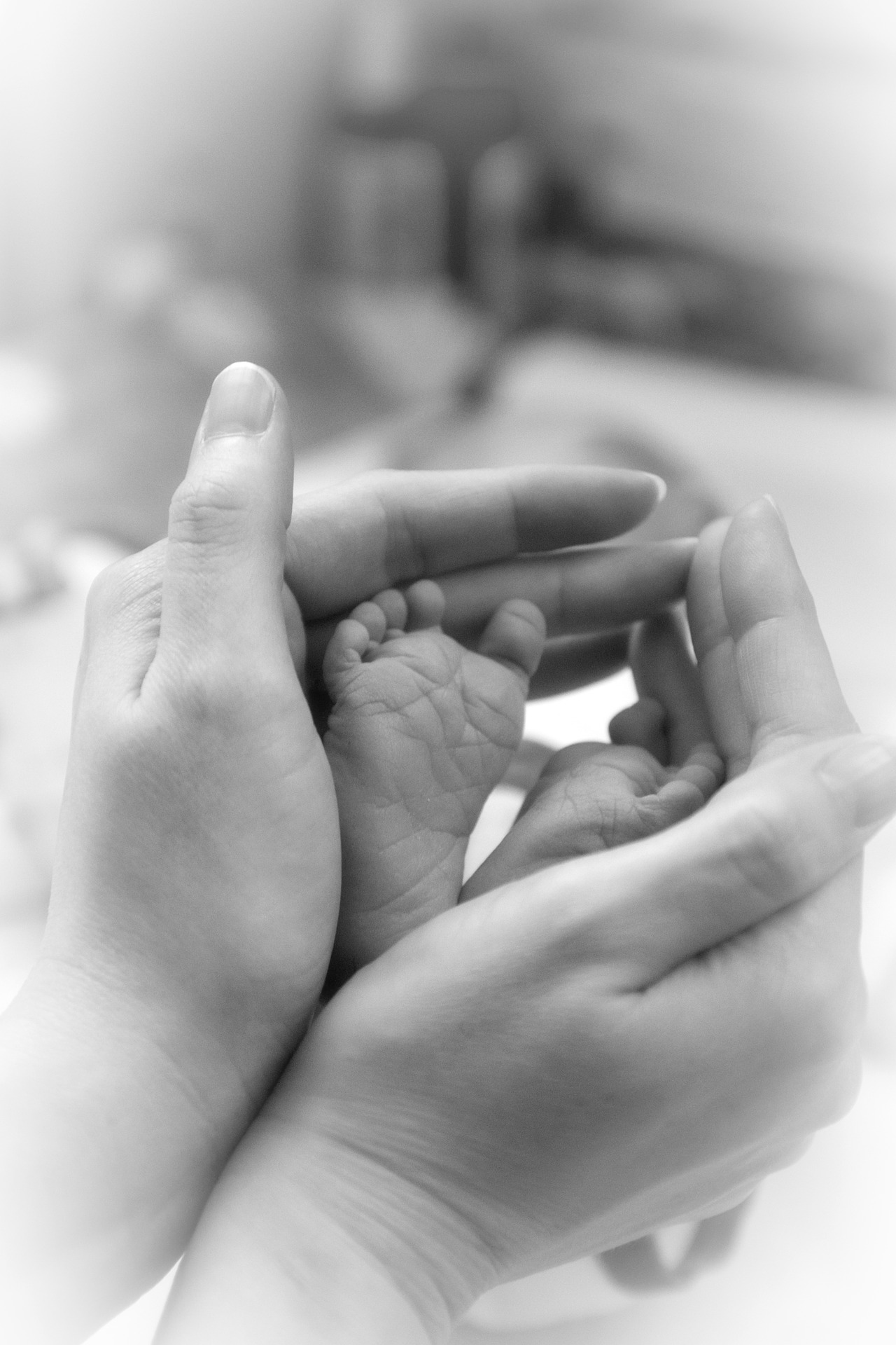 Free download high resolution image - free image free photo free stock image public domain picture -Baby feet in the mother hands