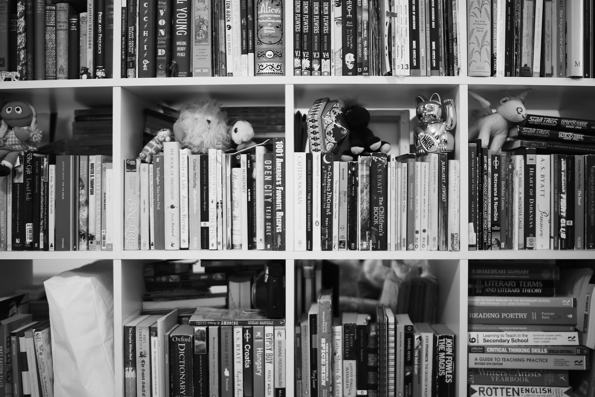 Free download high resolution image - free image free photo free stock image public domain picture -Bookshelf background