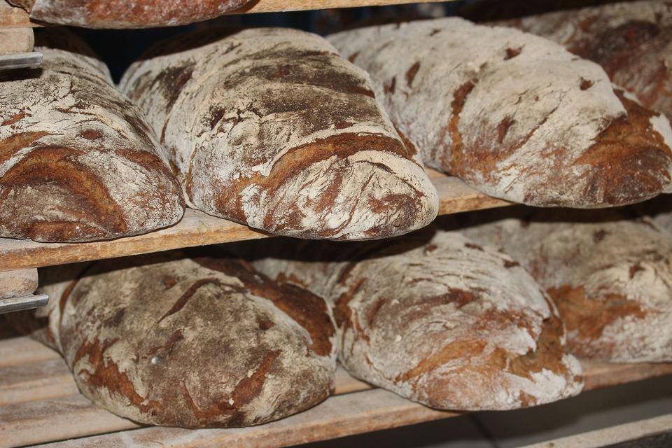 Free download high resolution image - free image free photo free stock image public domain picture  Bread on a shelf, in a bakery store