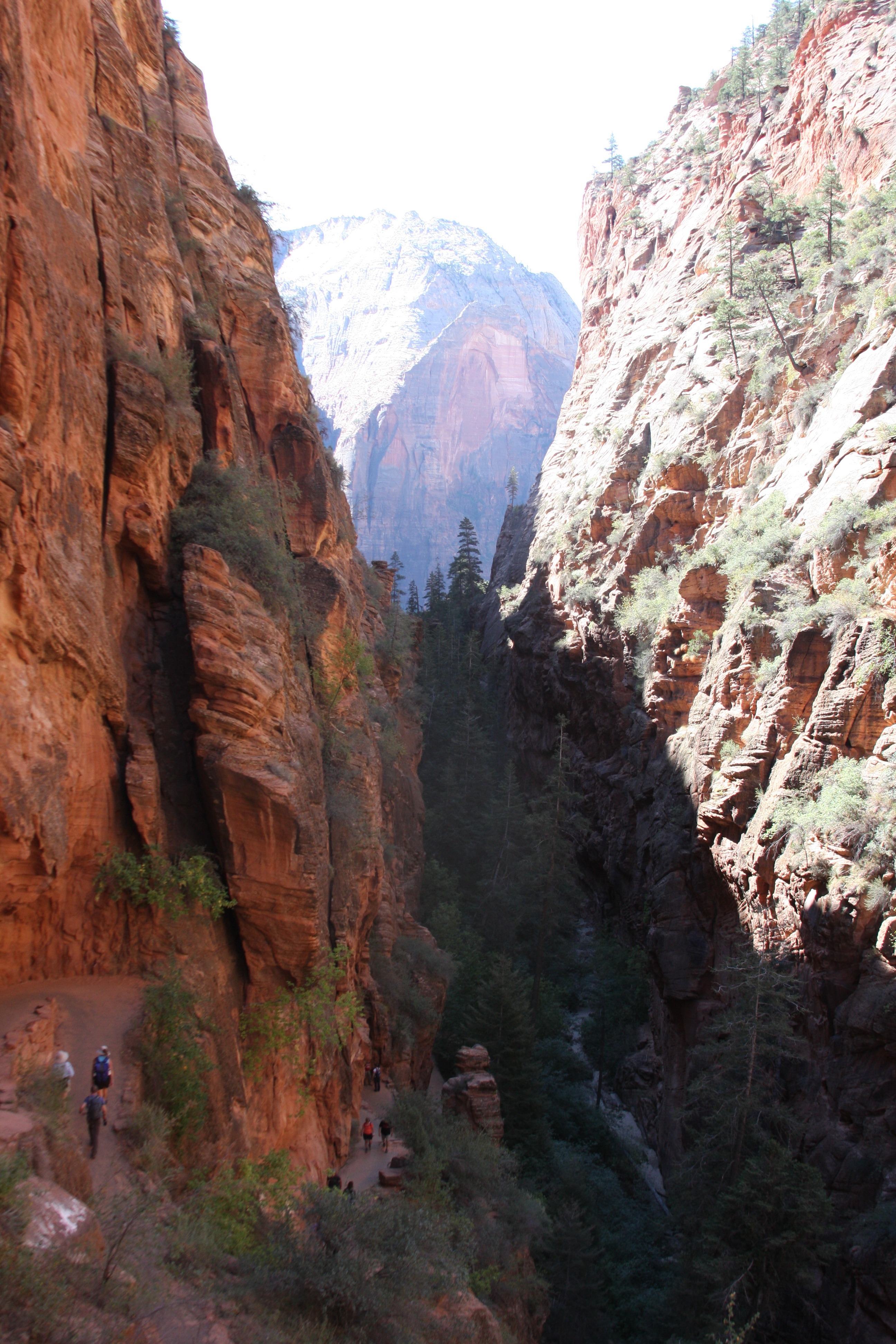 Free download high resolution image - free image free photo free stock image public domain picture -Path to Angels Landing in Zion national park