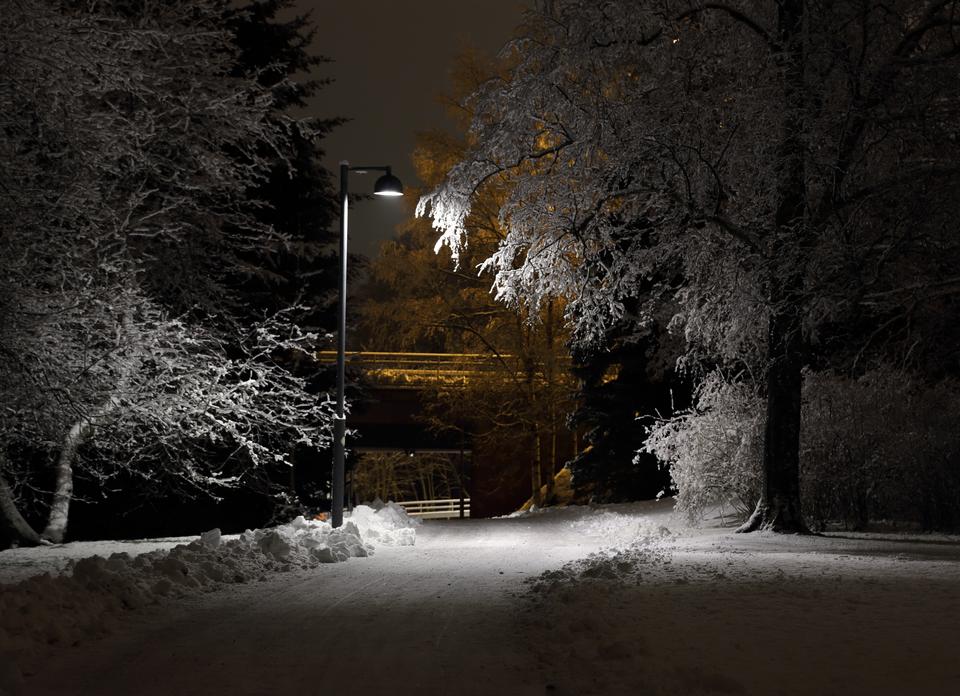 Free download high resolution image - free image free photo free stock image public domain picture  Winter park in the evening covered with snow with a row of lamps