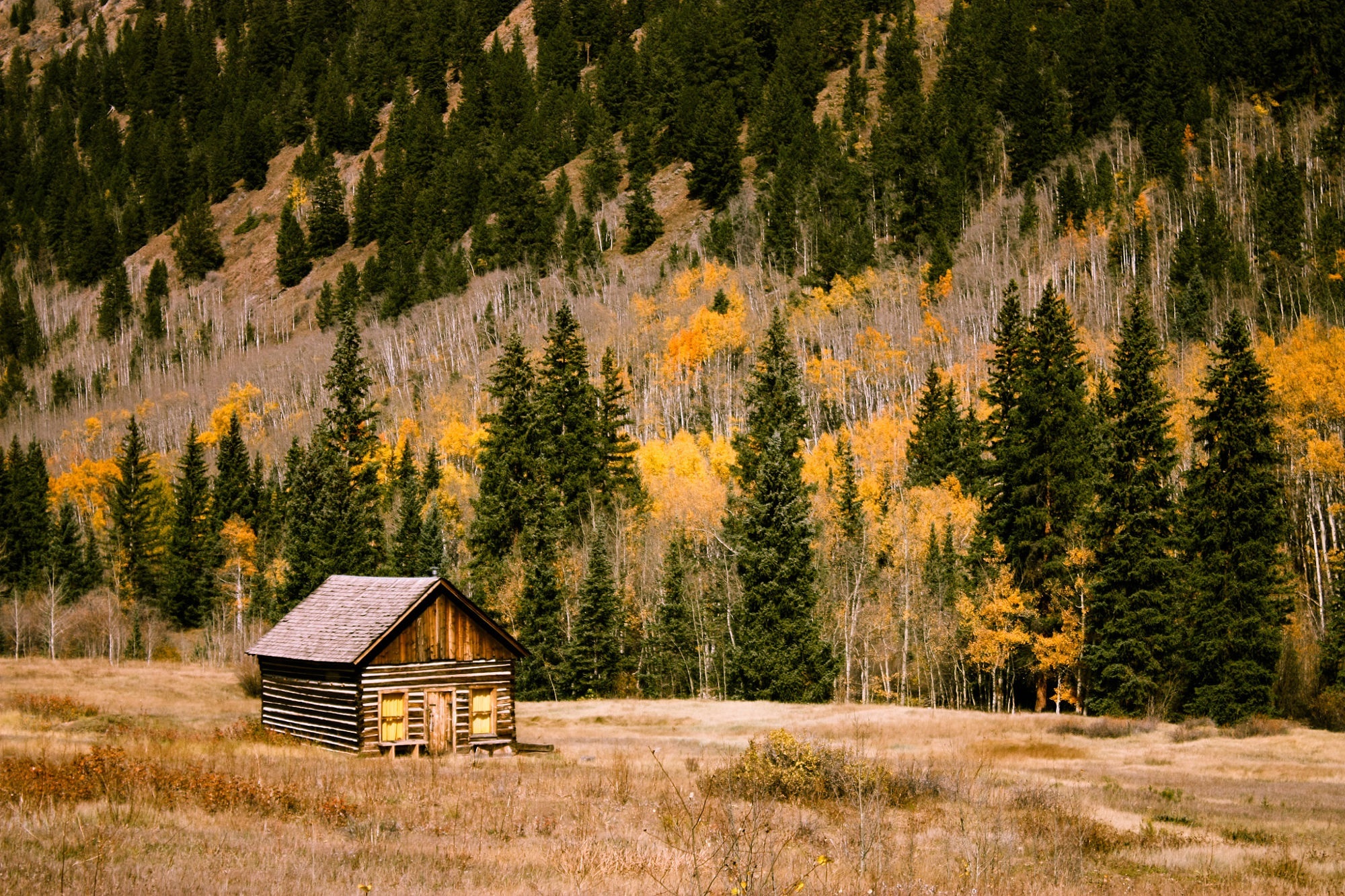 Free download high resolution image - free image free photo free stock image public domain picture -A log cabin in a wooded setting during the autumn season