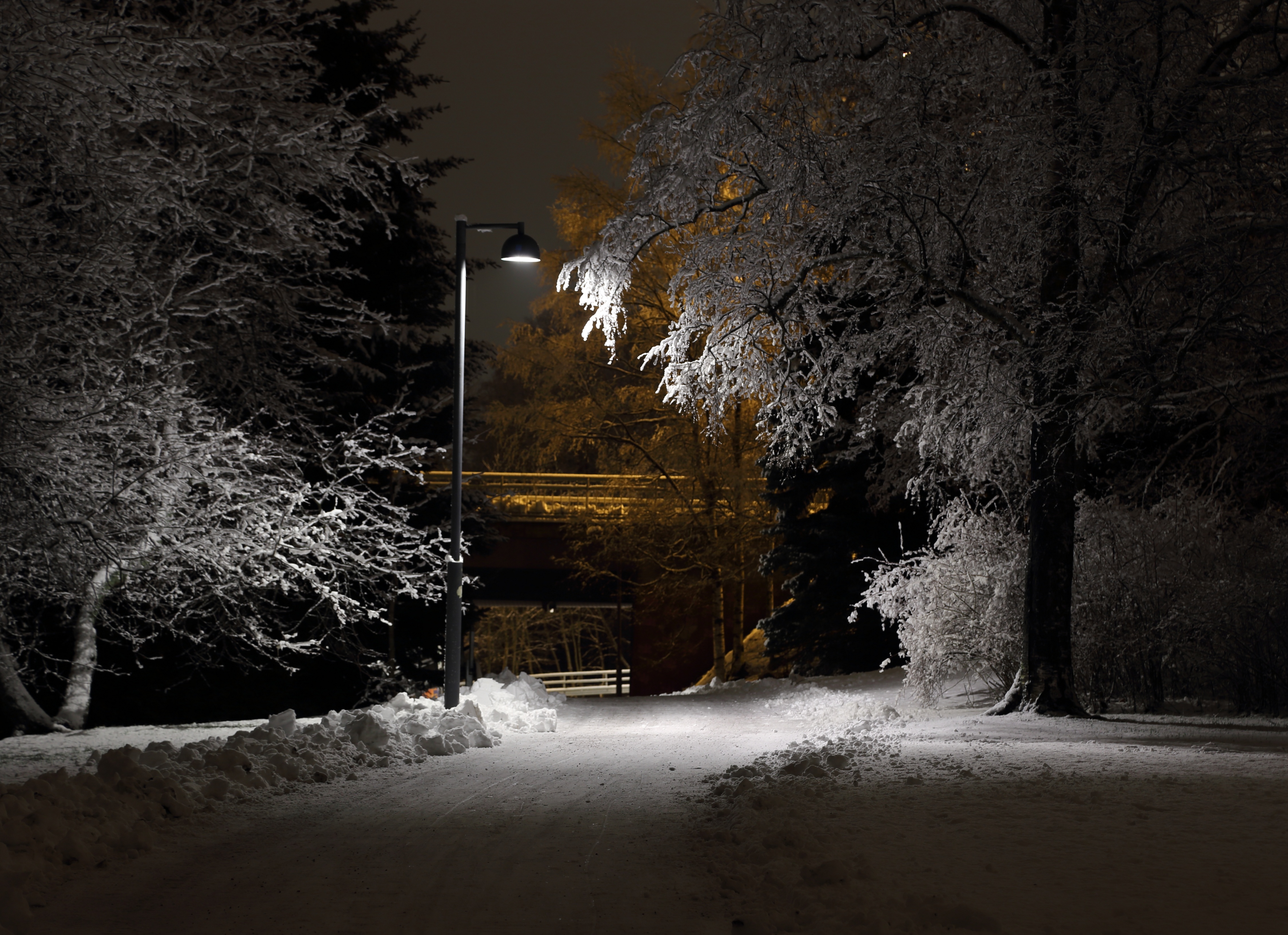 Free download high resolution image - free image free photo free stock image public domain picture -Winter park in the evening covered with snow with a row of lamps