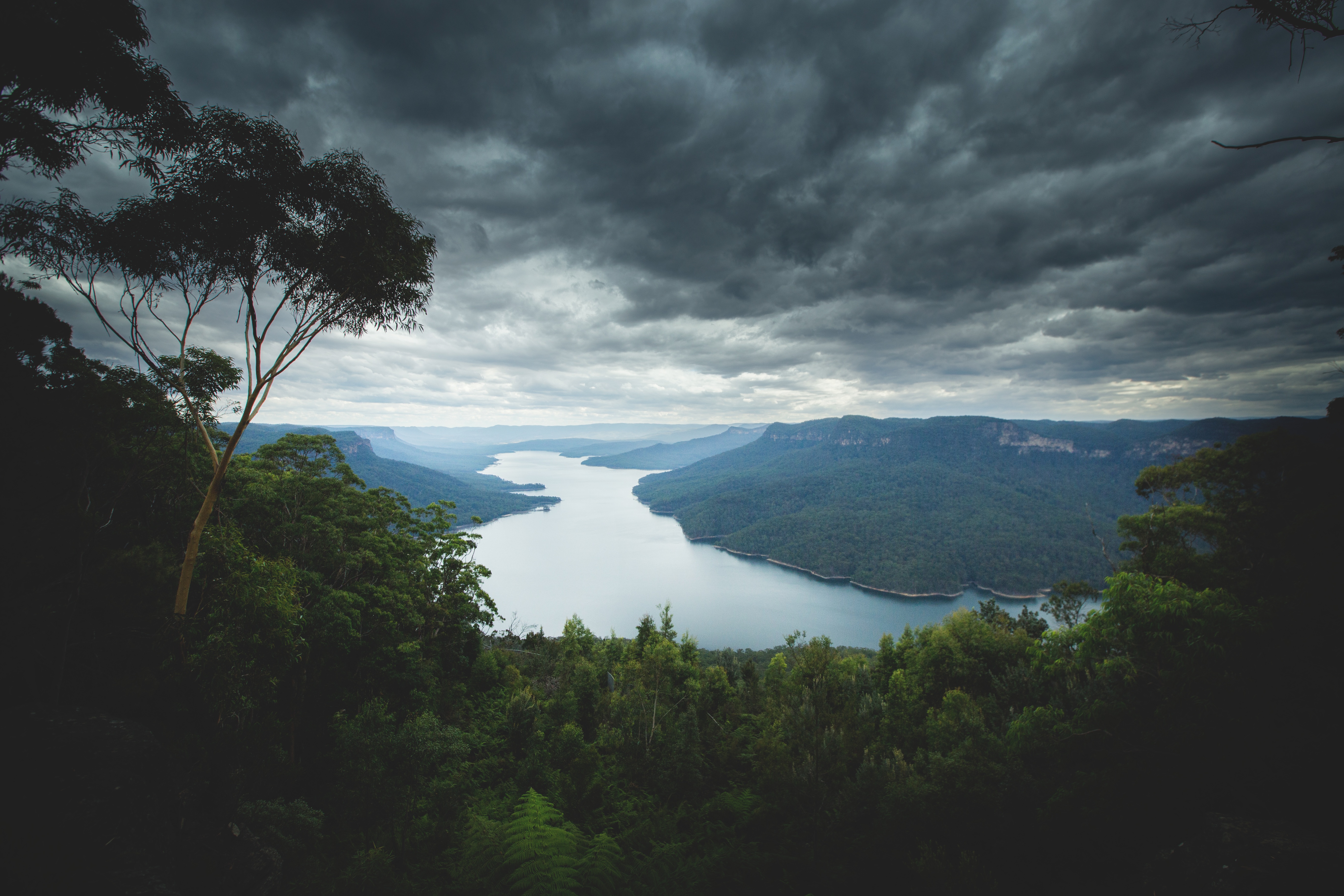 Free download high resolution image - free image free photo free stock image public domain picture -Blue Mountains National Park, NSW, Australia