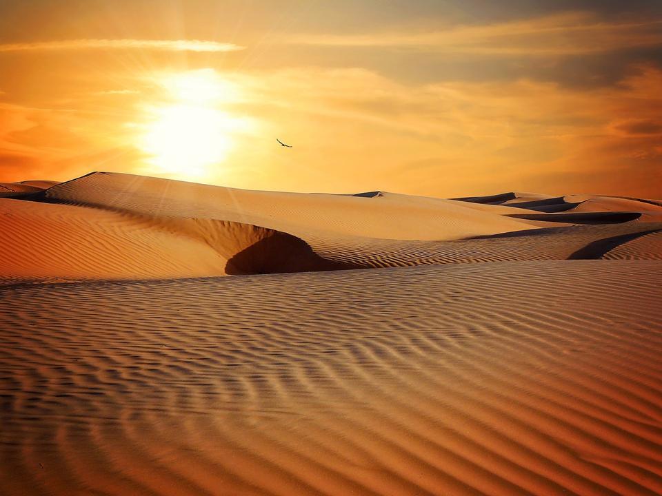 Free download high resolution image - free image free photo free stock image public domain picture  Moroccan desert landscape with sun set. Dunes background.