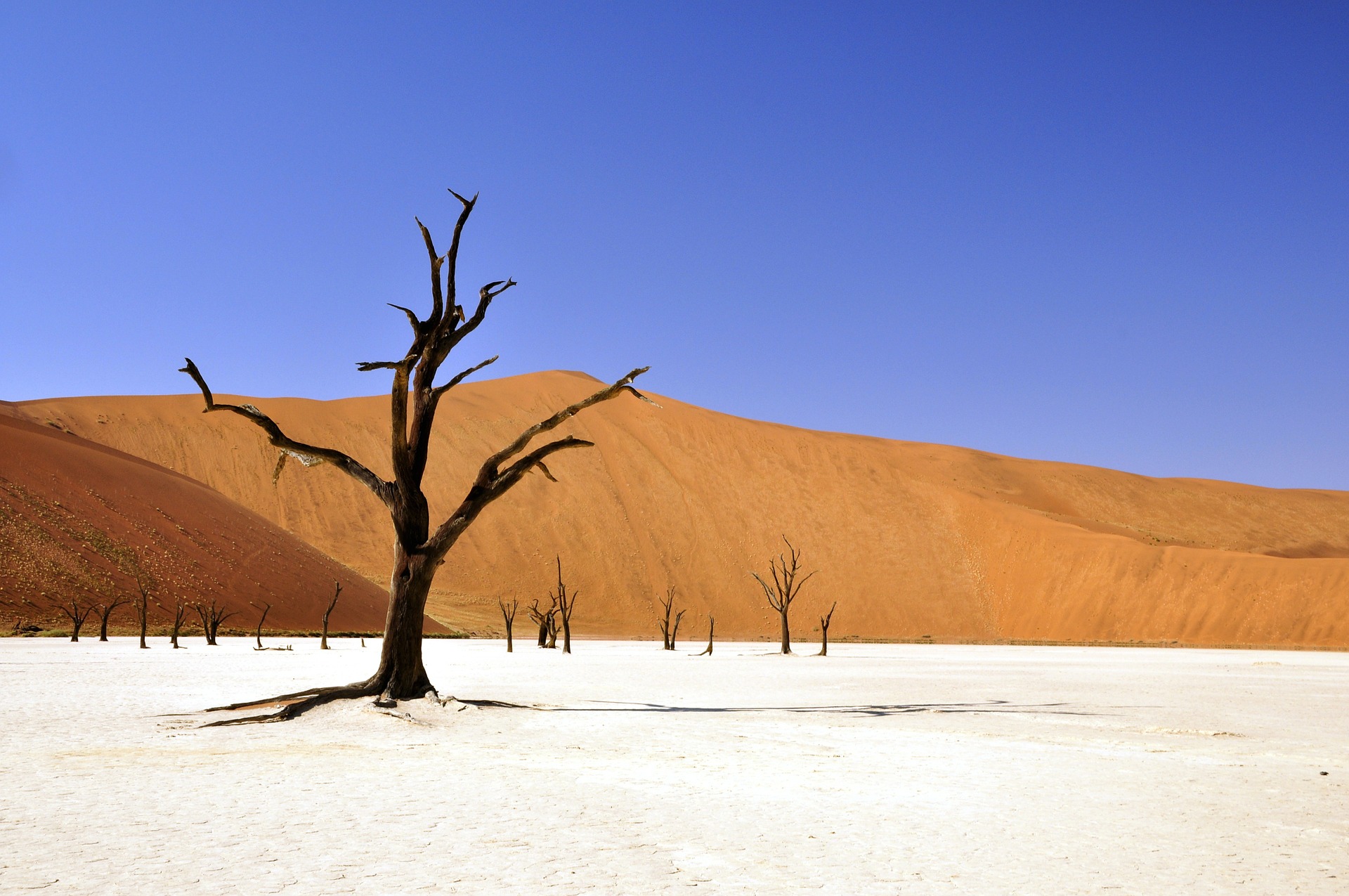 Free download high resolution image - free image free photo free stock image public domain picture -Dead Vlei, Sossusvlei, Namibia