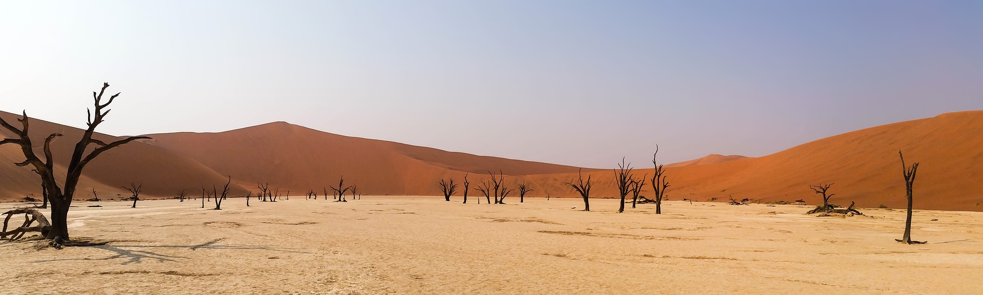 Free download high resolution image - free image free photo free stock image public domain picture -Dead Acacia erioloba in the Dead Vlei (Dead Valley), Namibia Dese