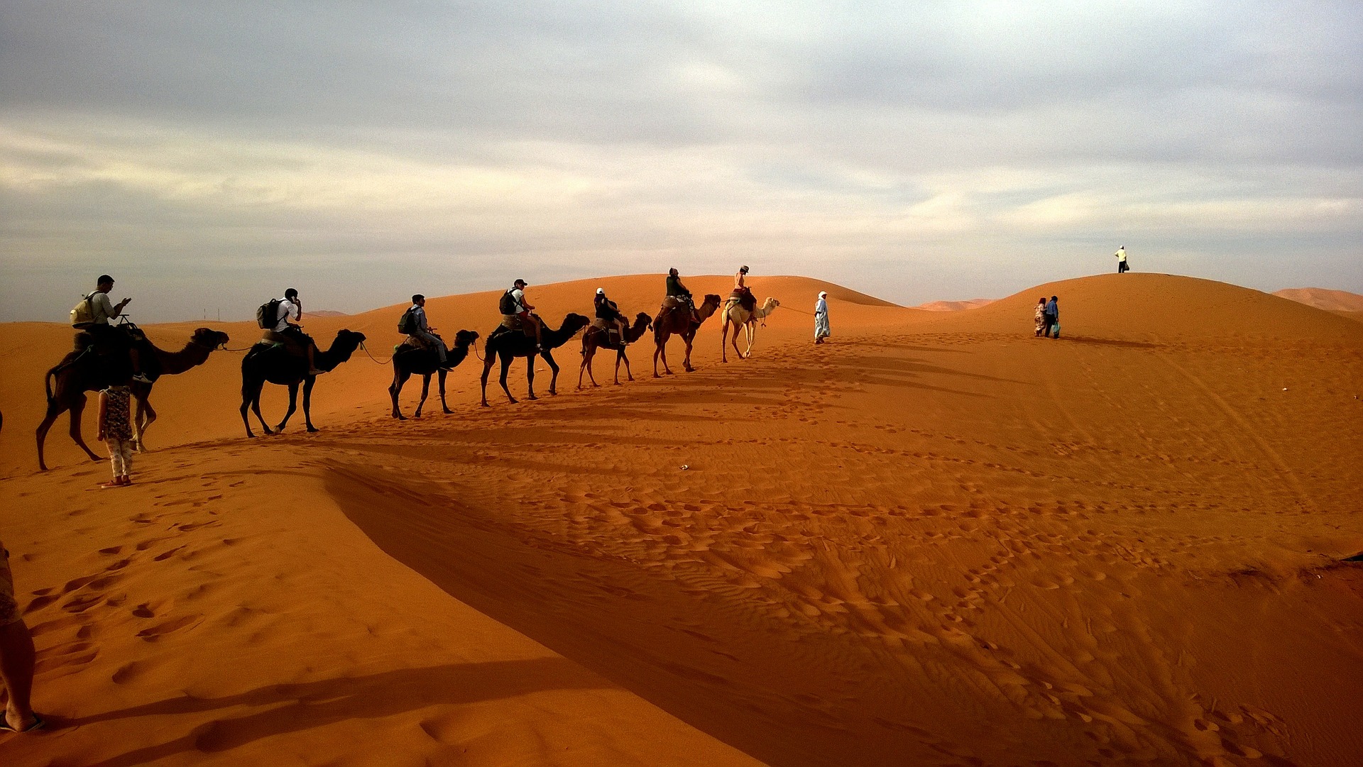 Free download high resolution image - free image free photo free stock image public domain picture -Camel caravan on the Sahara desert