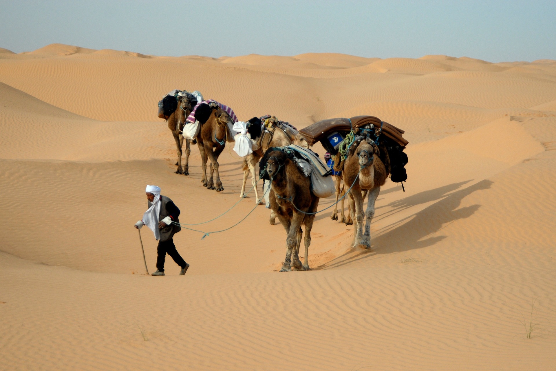 Free download high resolution image - free image free photo free stock image public domain picture -two Indian cameleers (camel drivers) with camels in dunes of Thar