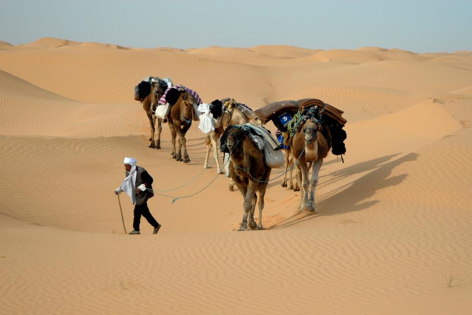 Free download high resolution image - free image free photo free stock image public domain picture  two Indian cameleers (camel drivers) with camels in dunes of Thar