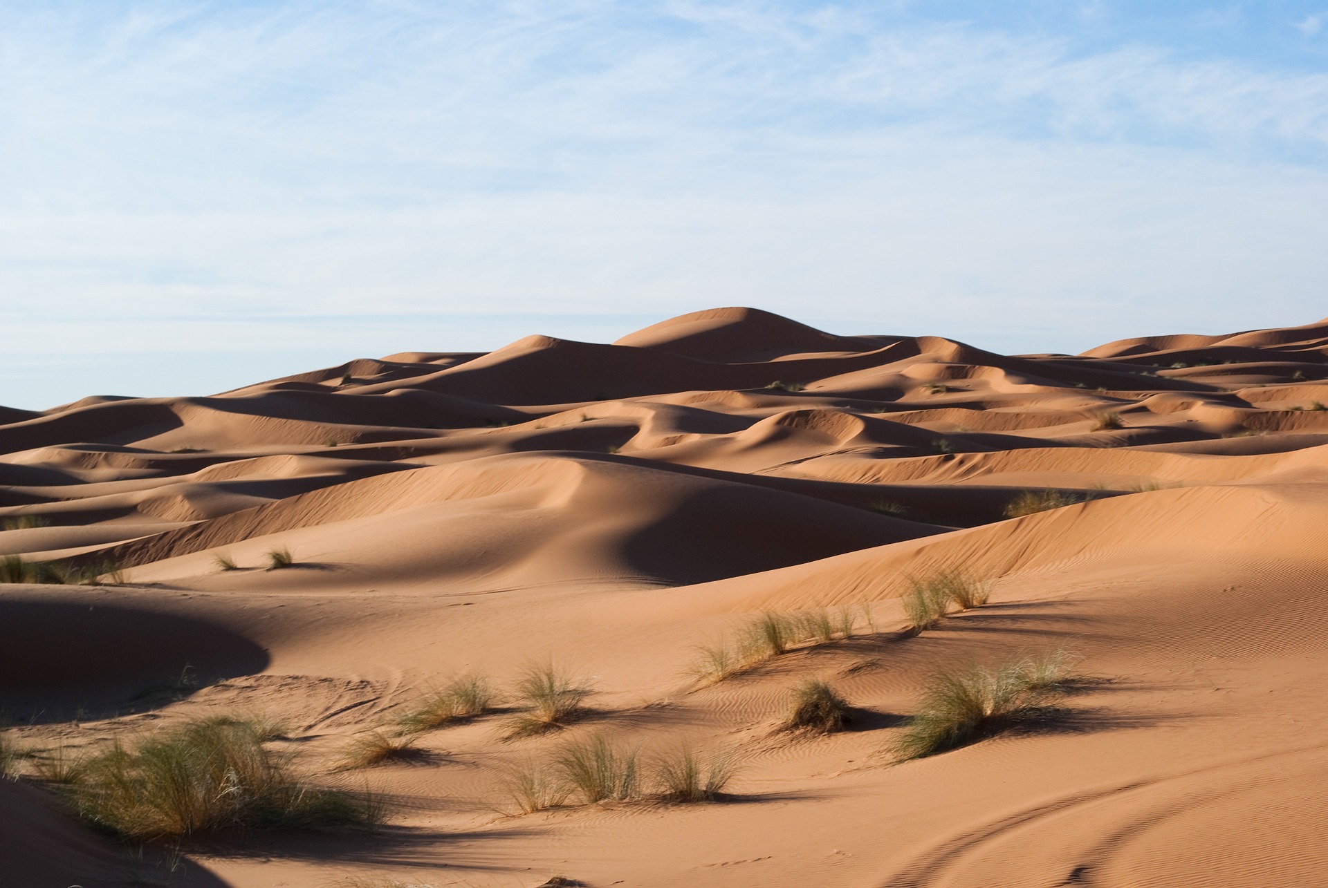 Free download high resolution image - free image free photo free stock image public domain picture -Grand Desert