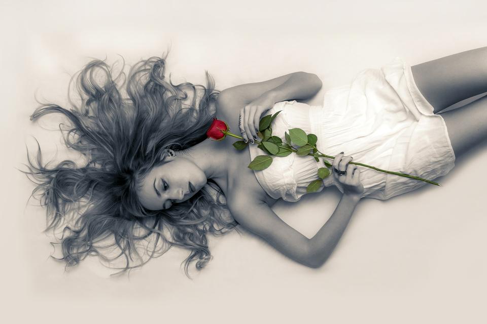 Free download high resolution image - free image free photo free stock image public domain picture  laying down with a red rose