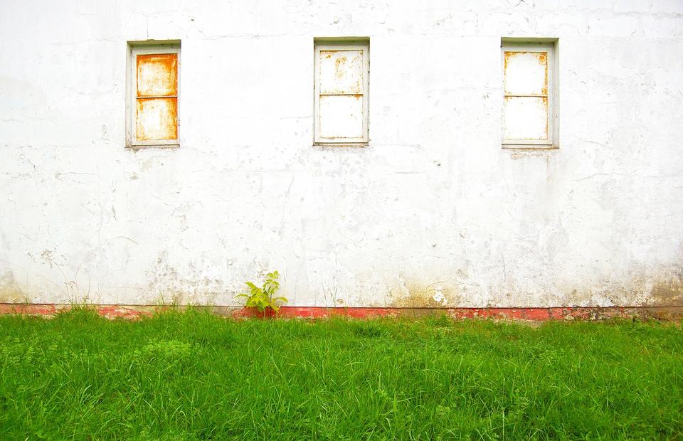 Free download high resolution image - free image free photo free stock image public domain picture  The old white plastered wall with a window and green lawn