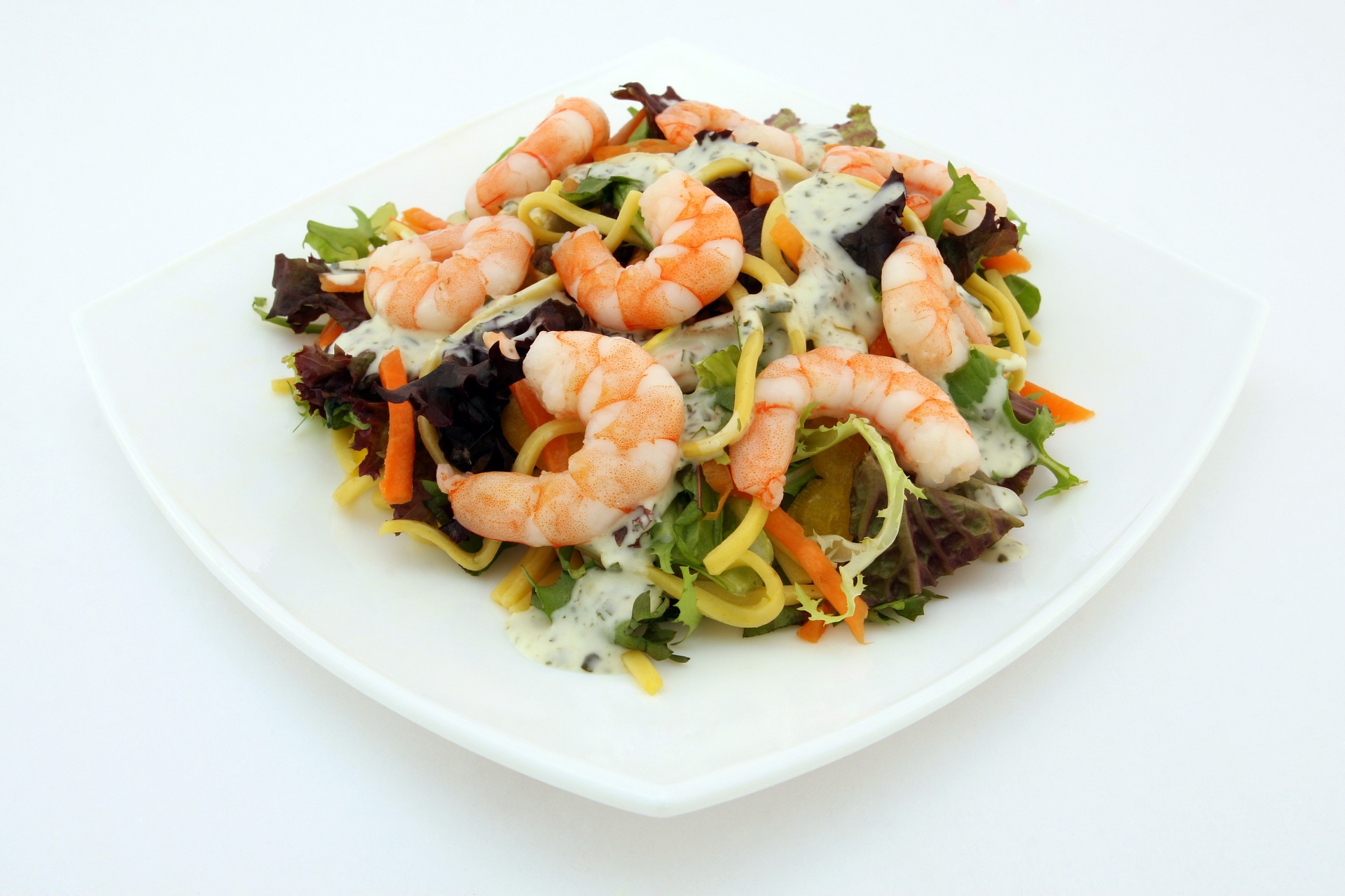 Free download high resolution image - free image free photo free stock image public domain picture -salad of shrimp, mixed greens